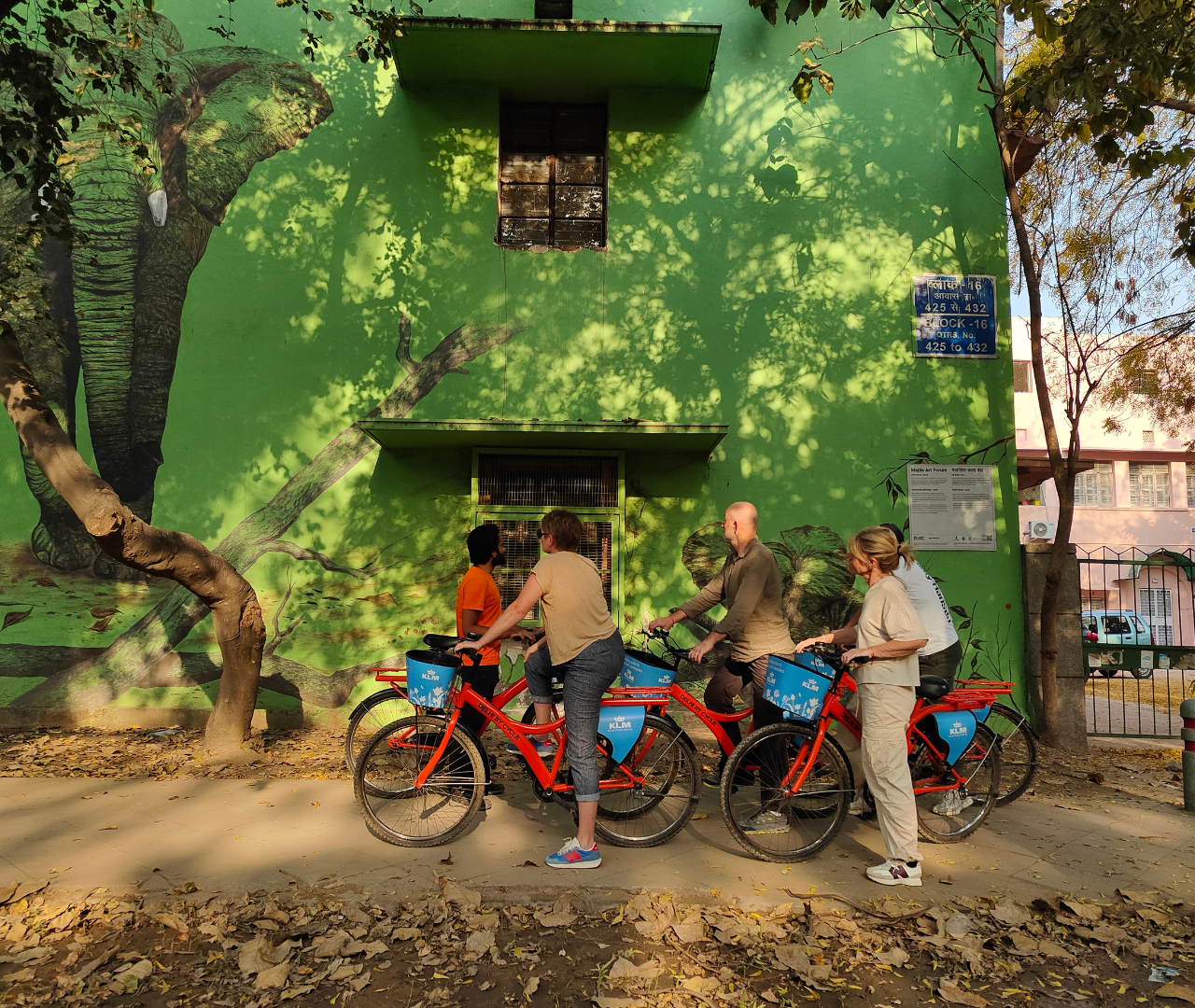 South Delhi Cycle Tour of Heritage, Art & Gardens 3