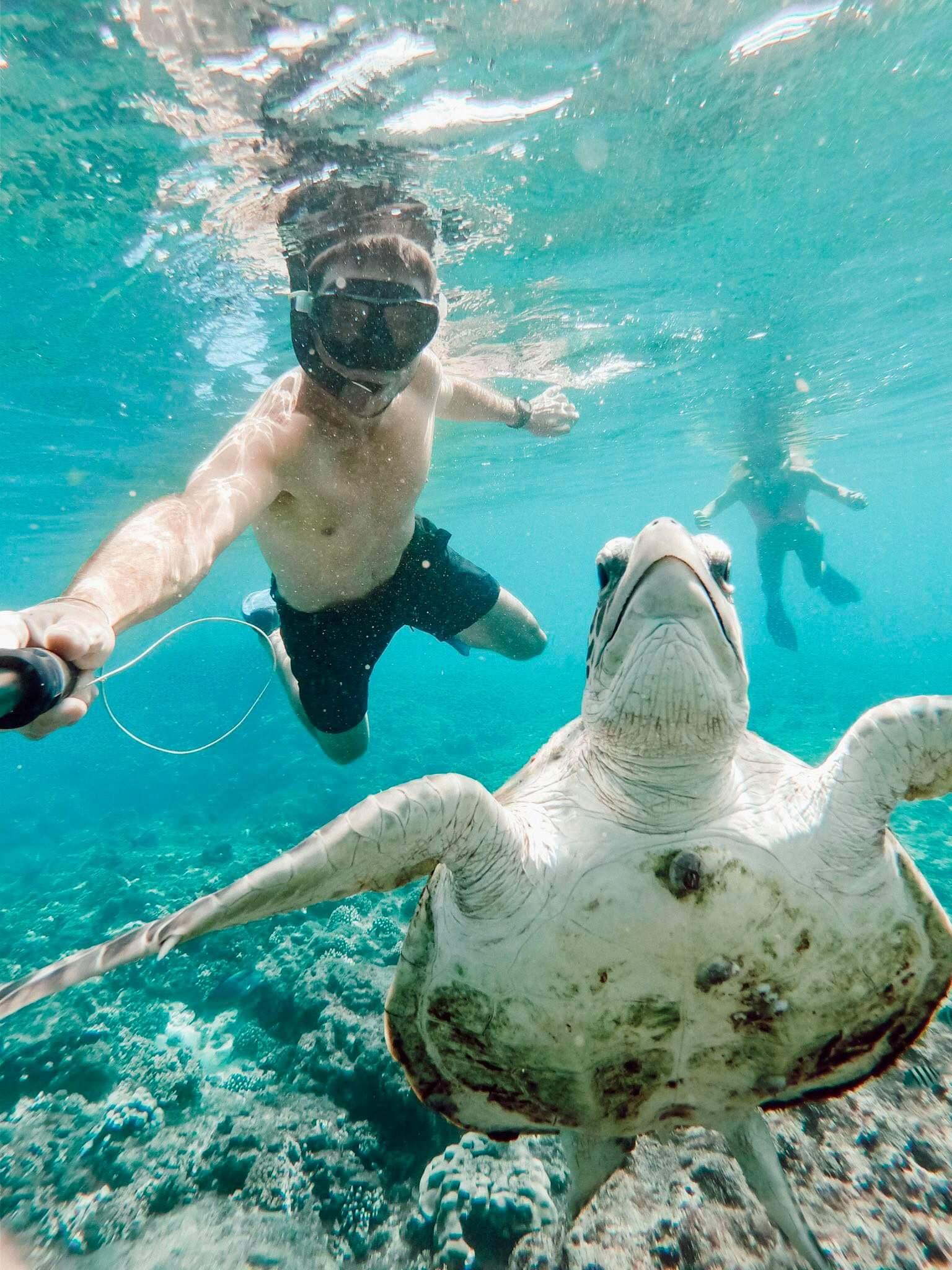 Daymaniat Journey: Group Tour with Snorkeling 2