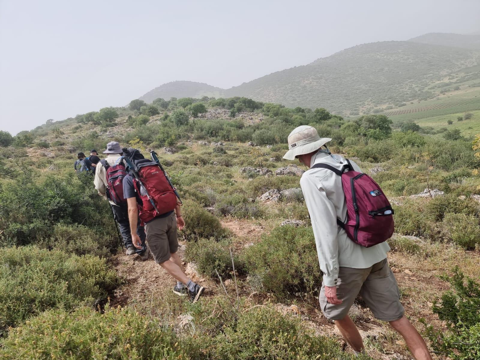 Mount Tabor, Beit She'an and Yardenit Baptismal Site Tour 3