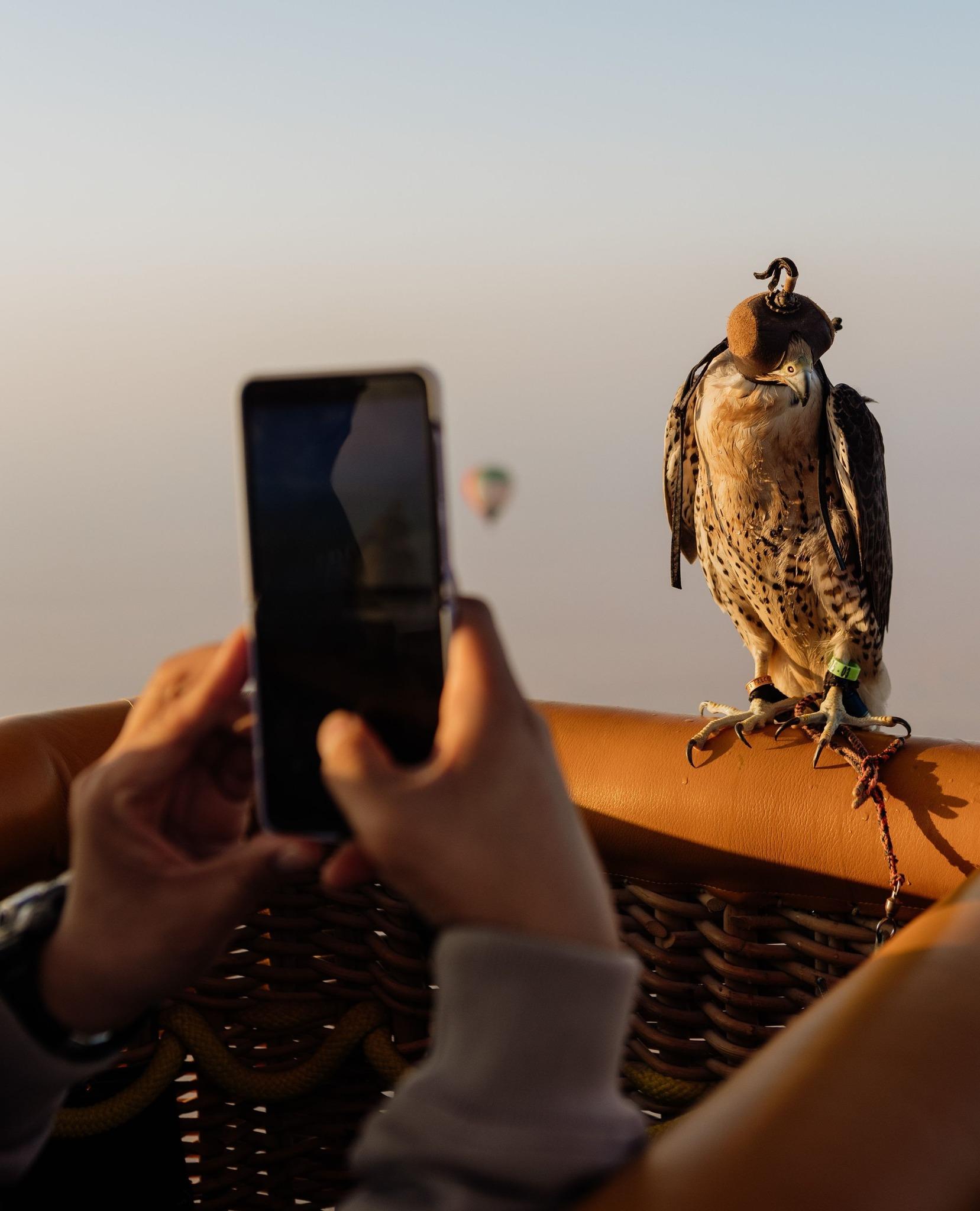 Dubai: Hot Air Balloon Ride in Vintage Land Rover Experience 2