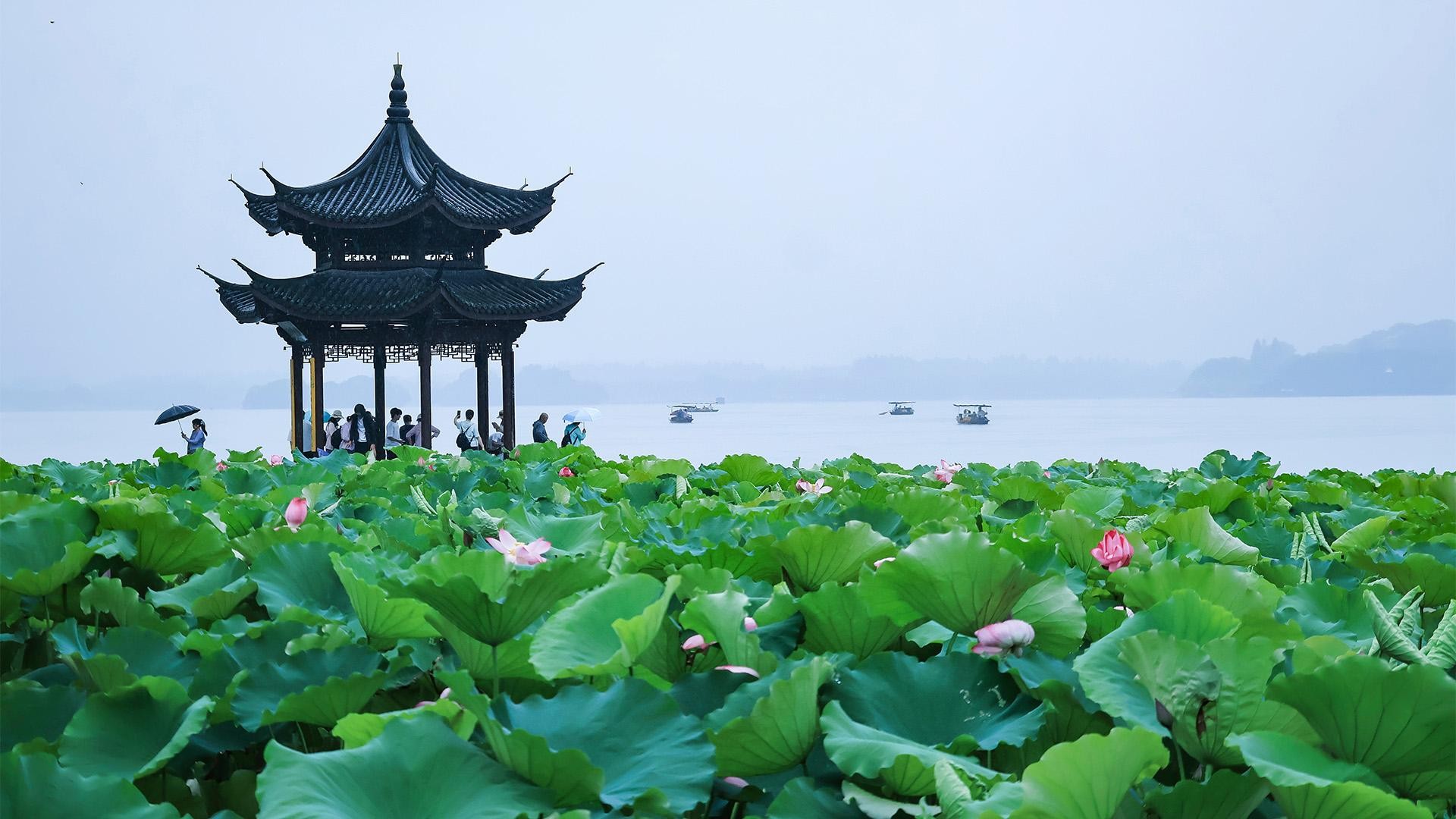 From Shanghai: Hangzhou Day Trip with West Lake Cruise 2