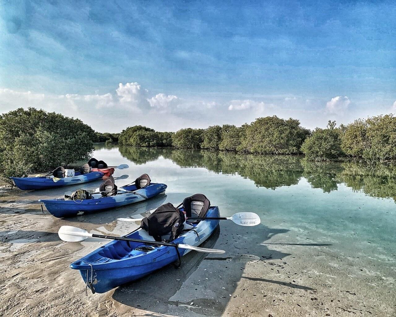 Doha: Private Kayaking Through Mangroves to Purple Island 2