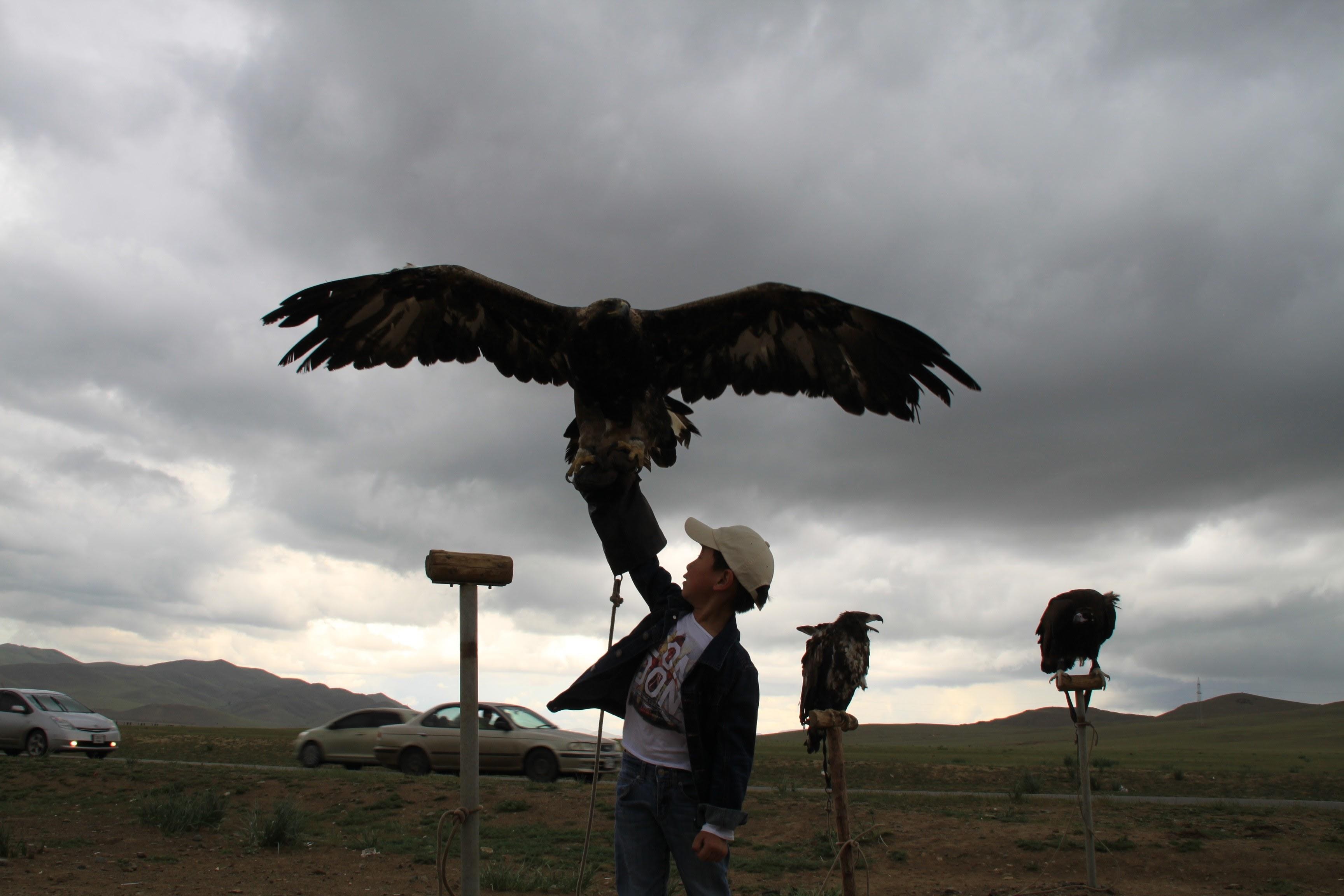 Chinggis Khaan Statue & Gorkhi-Terelj National Park Day Tour