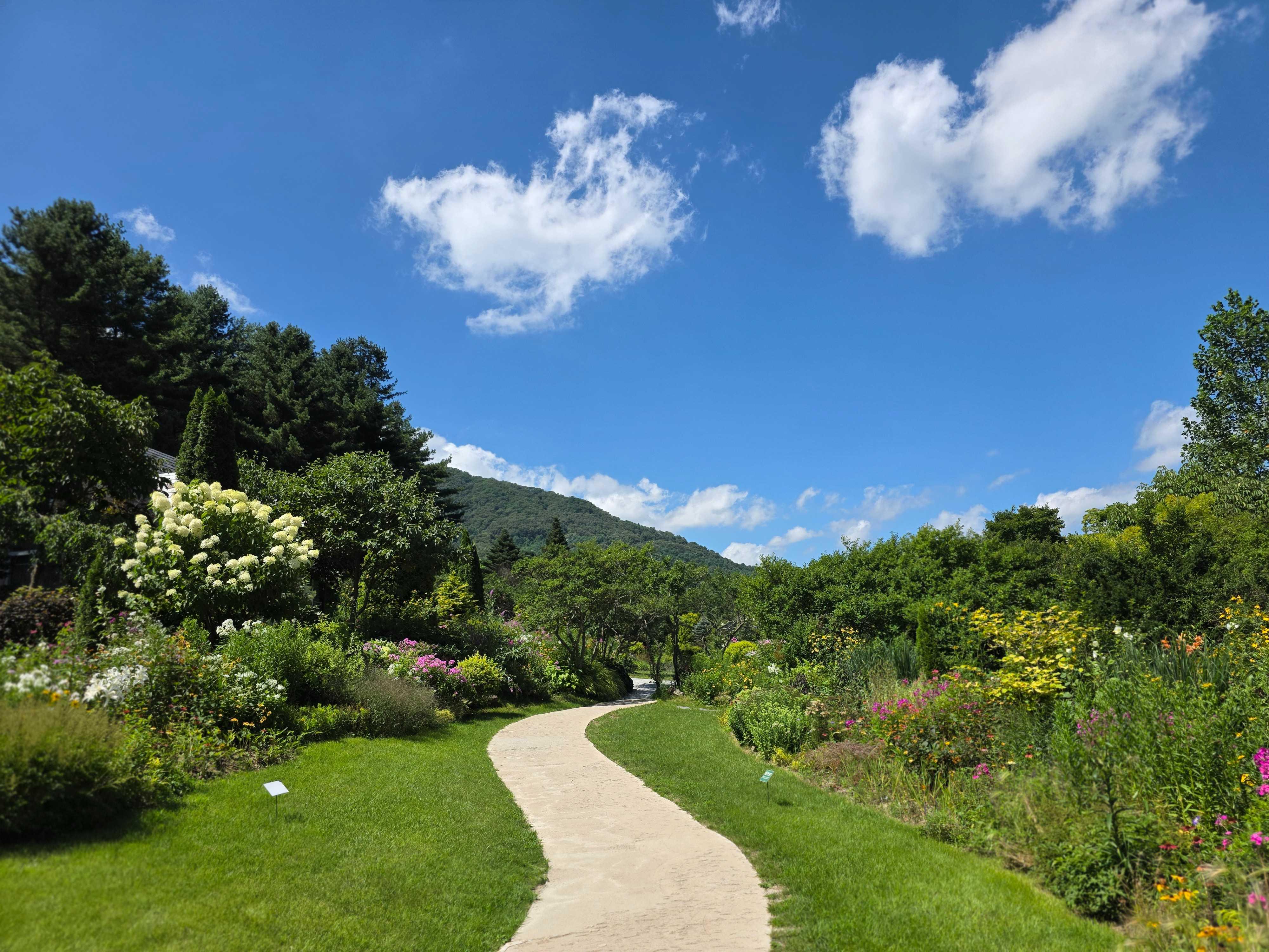 From Seoul: Garden of Morning Calm Day Tour by train 3