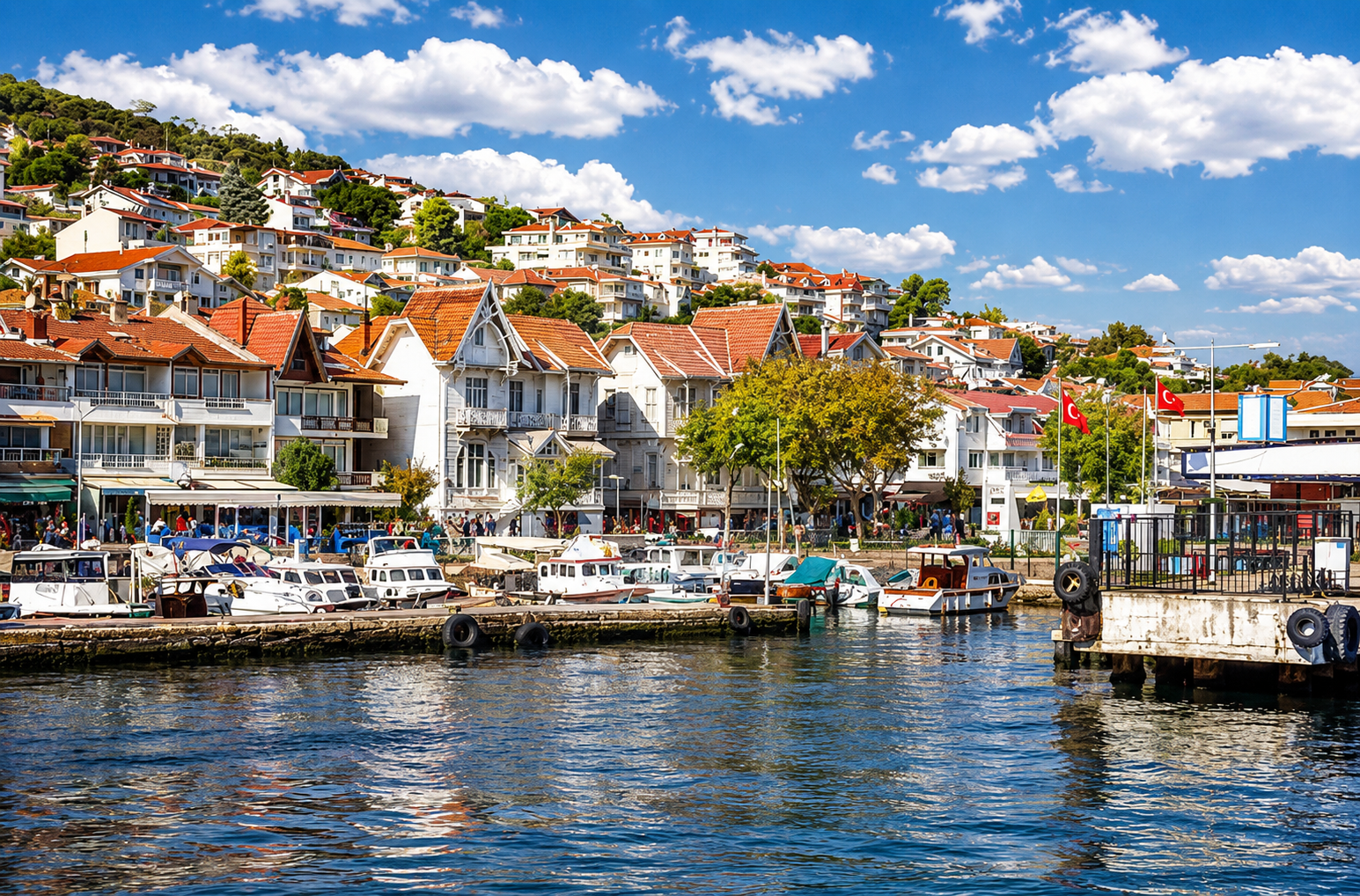 Istanbul: Princes' Islands Swim & Explore & Beach