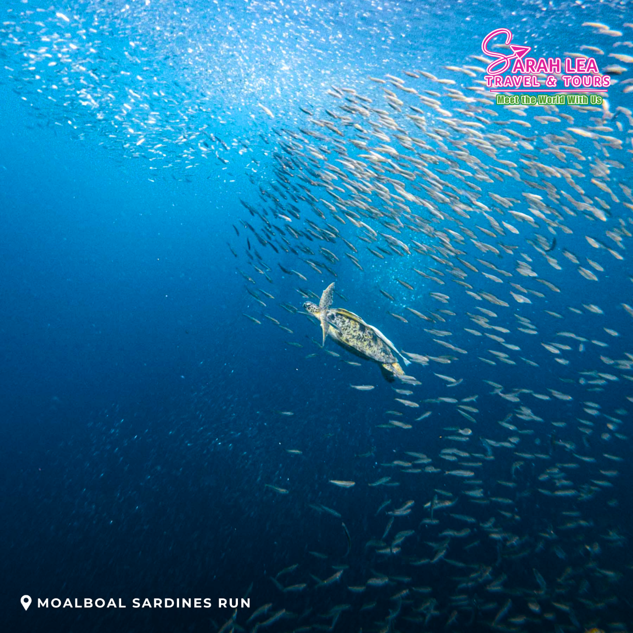 Cebu: Moalboal & Kawasan Canyoneering Adventure