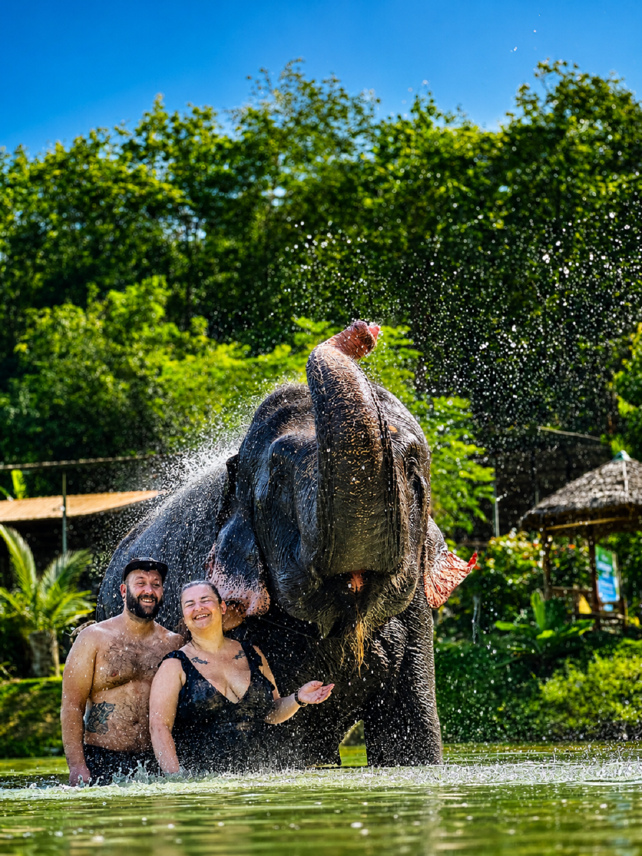 Jaipur: Elephant Sanctuary Experience with Transfer