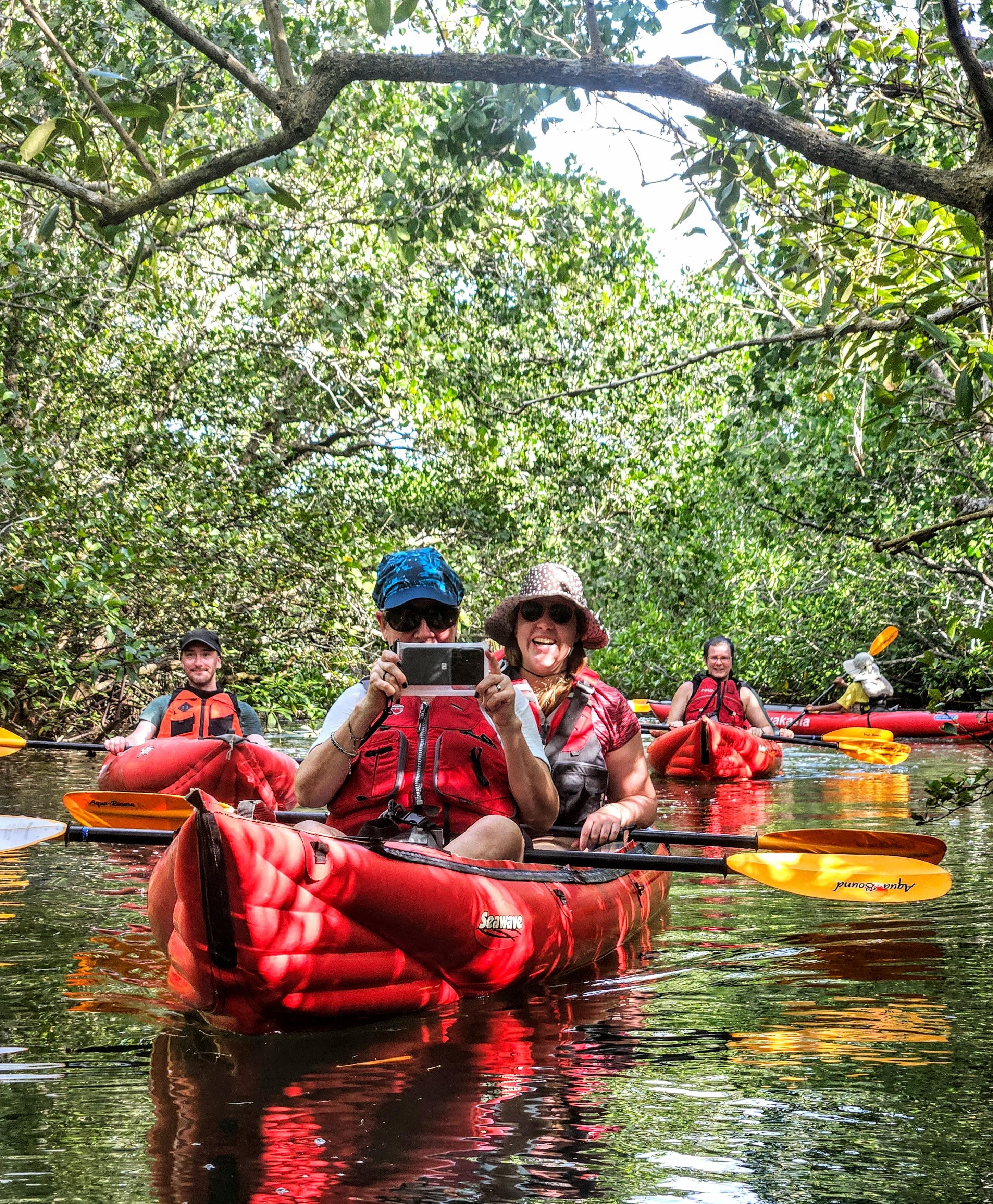 Bohol: SUSTAINABLE Mangrove Tunnels & Firefly Kayaking trail 3