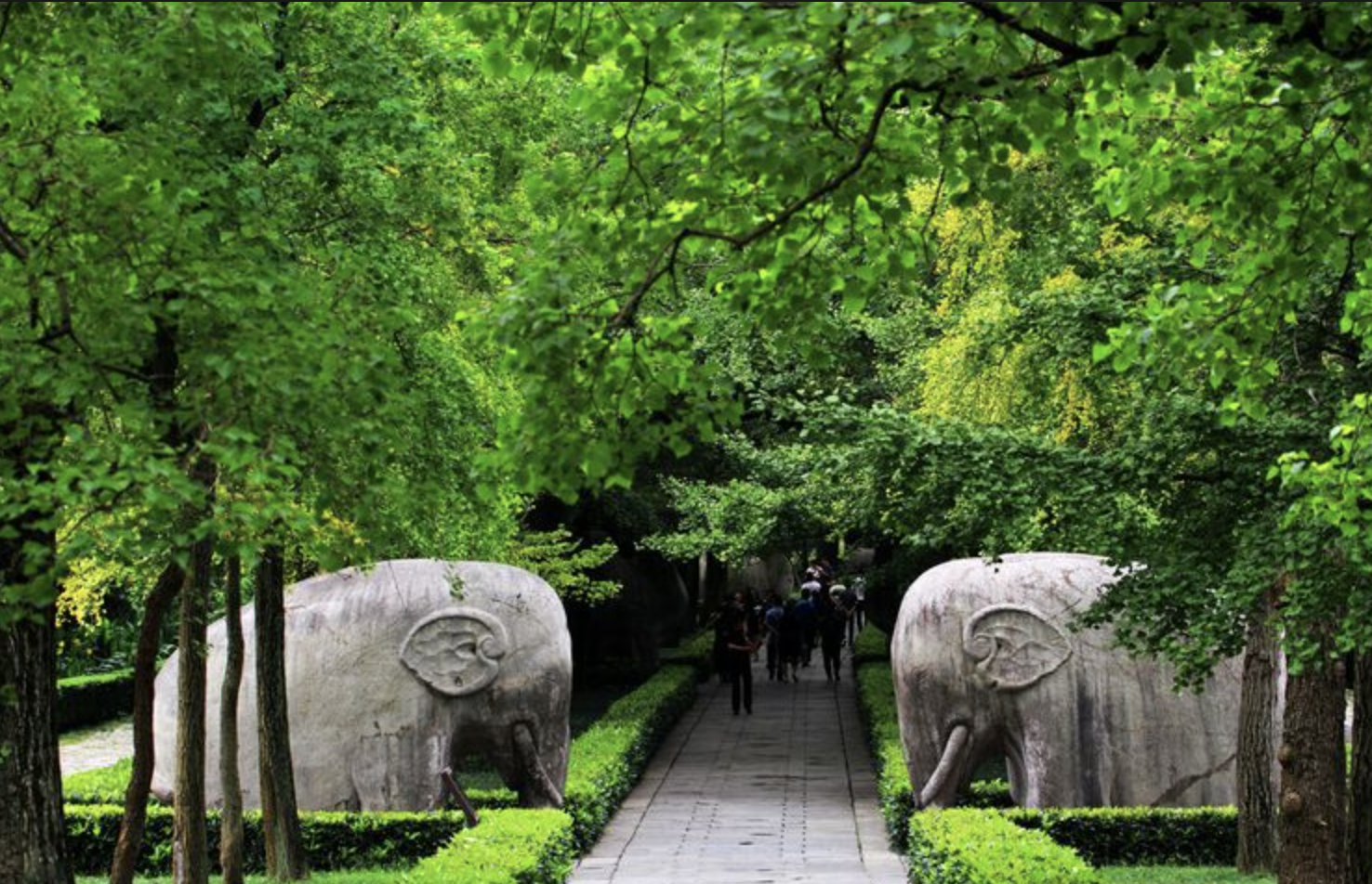 Hangzhou to Nanjing highlights day tour with bullet trains 2