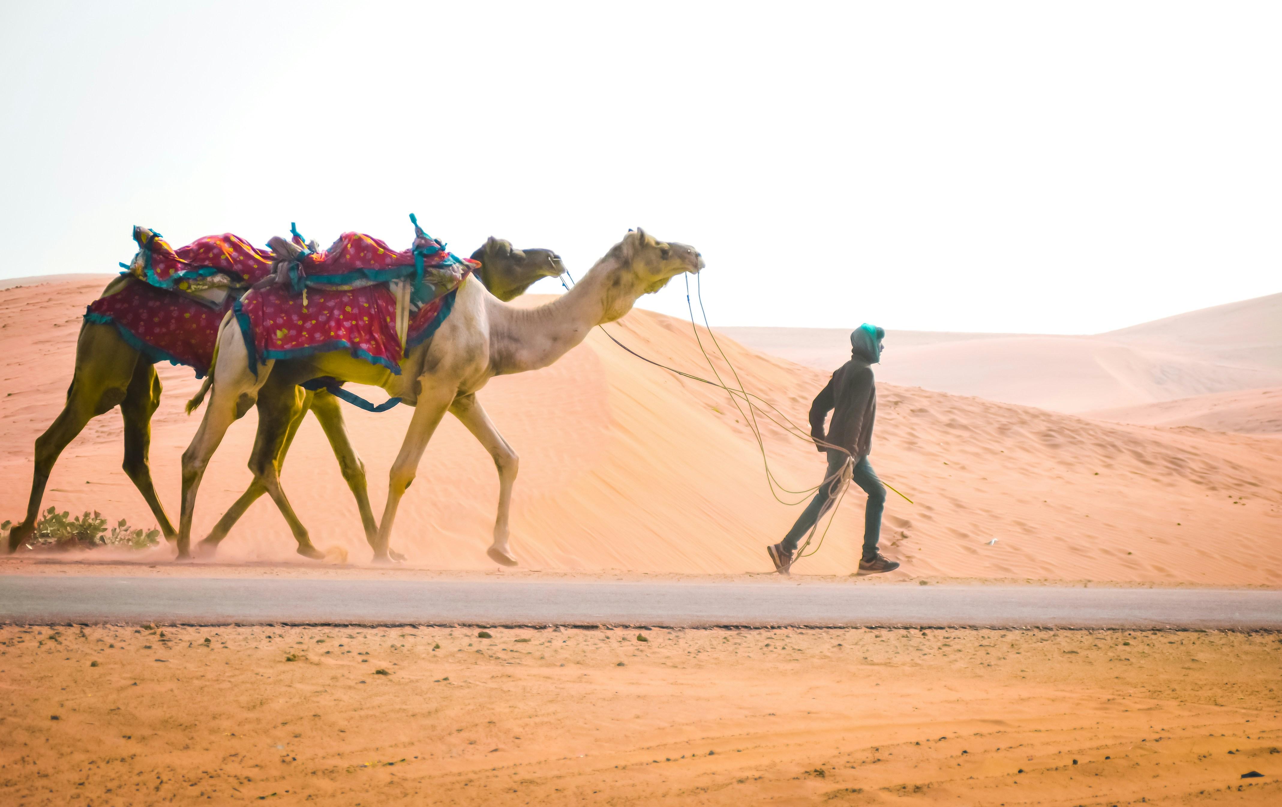 Doha: Desert Safari with Dune Bashing & Camel Ride 2