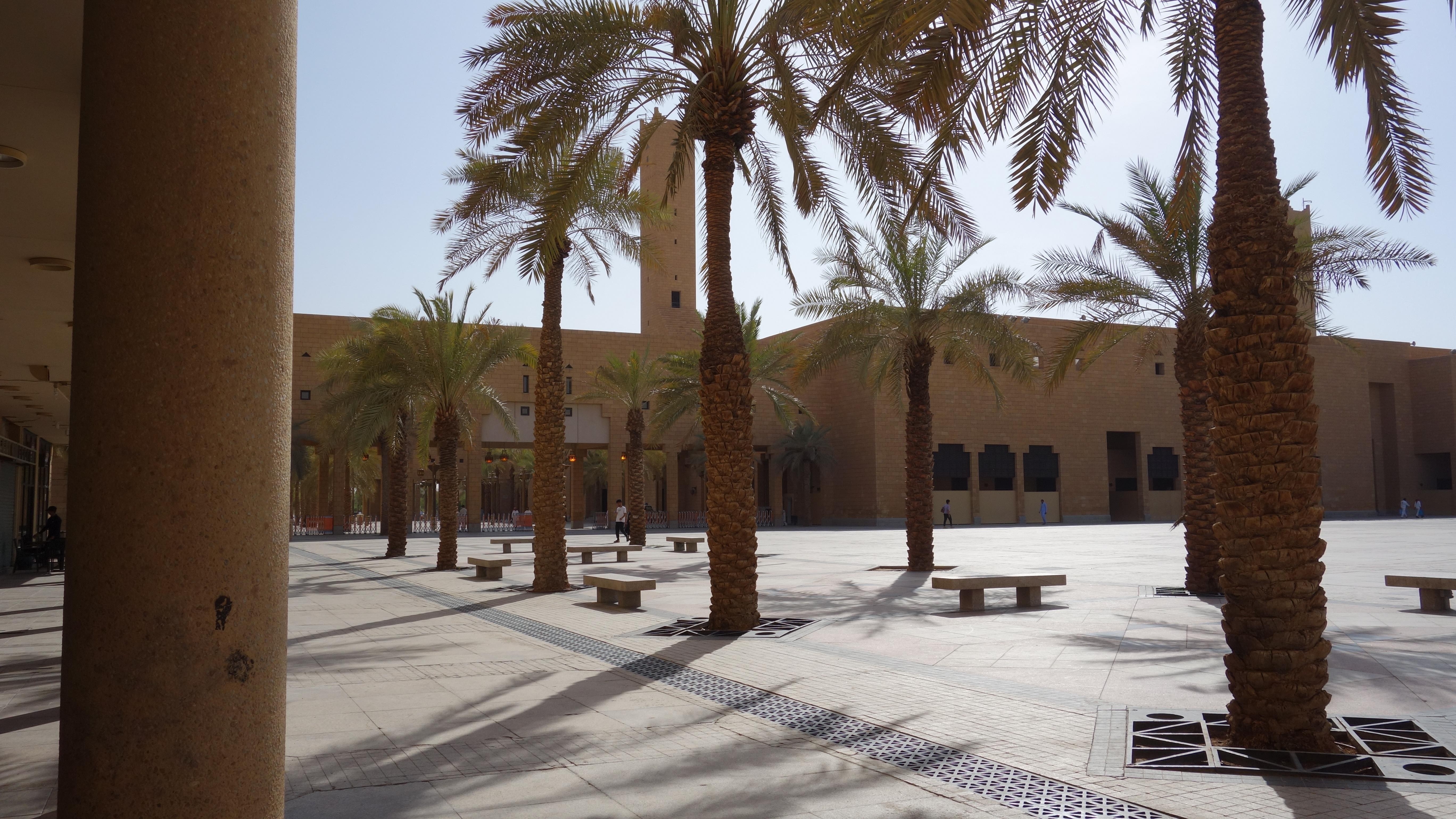Discover the Authenticity and Modernity of Riyadh in 8 Hours 2