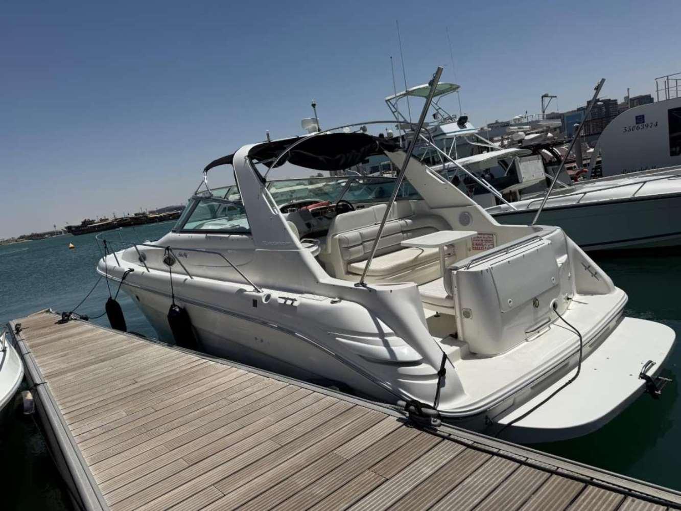 Qatar Private Yacht Cruise to Al Safliyah Island with Pickup 2