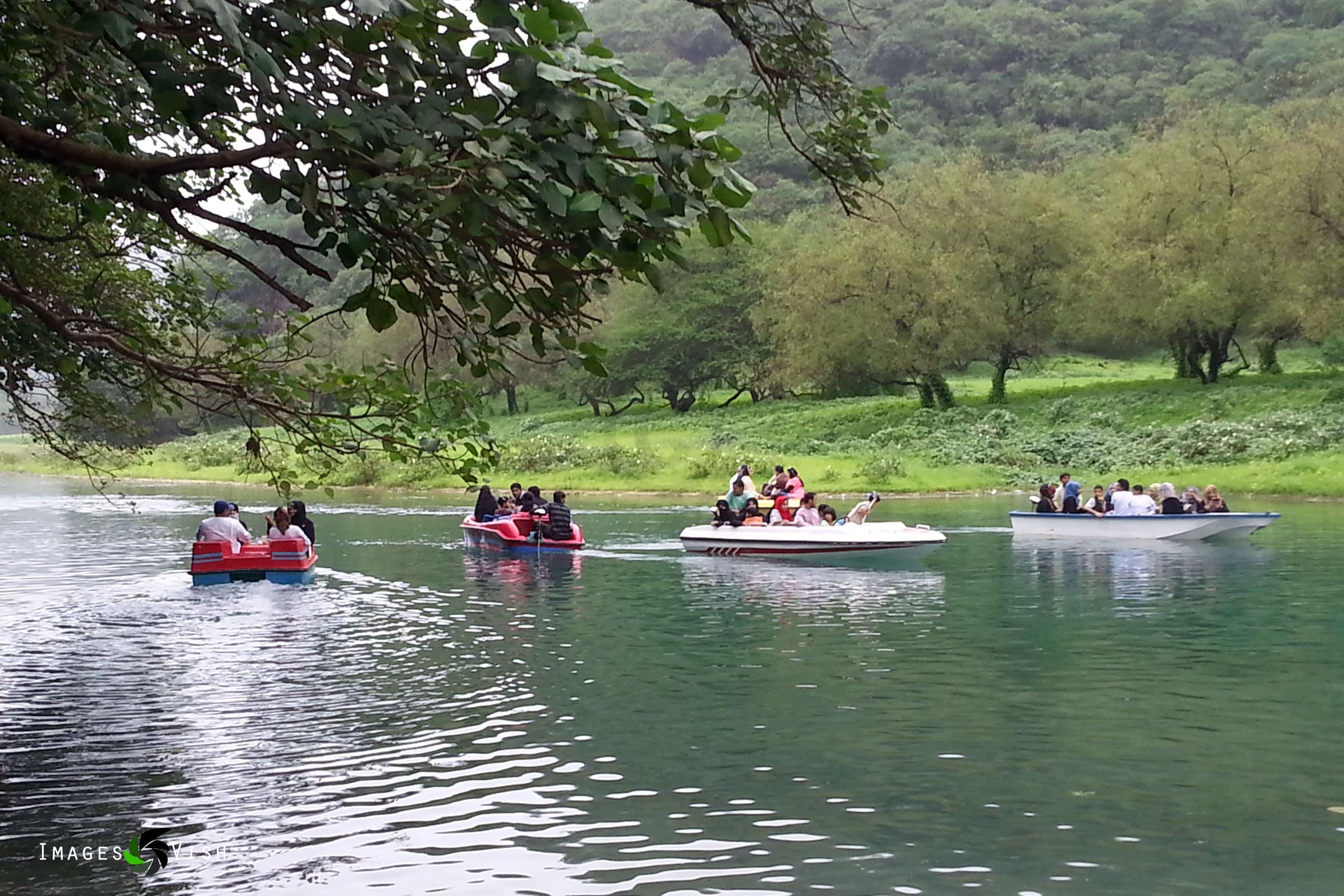 Full-Day Khareef Experience: Wadi Darbat & Salalah Mountains 2