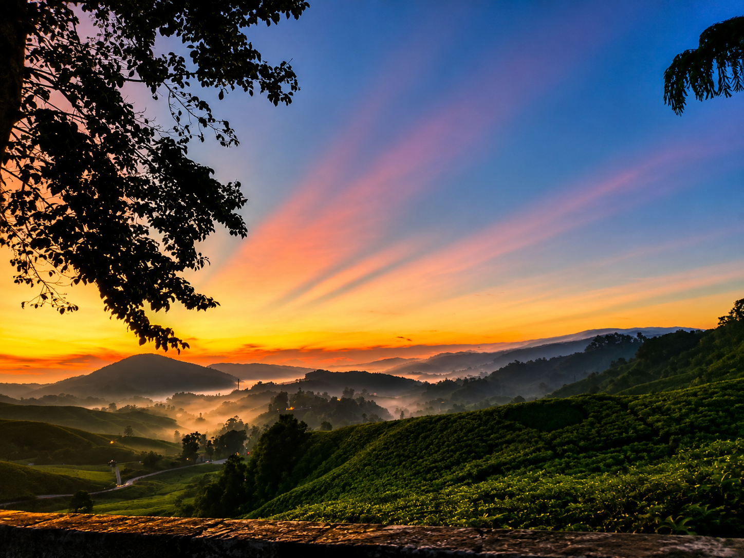 Cameron Highlands: Sunrise Tour at Tea Plantation 2
