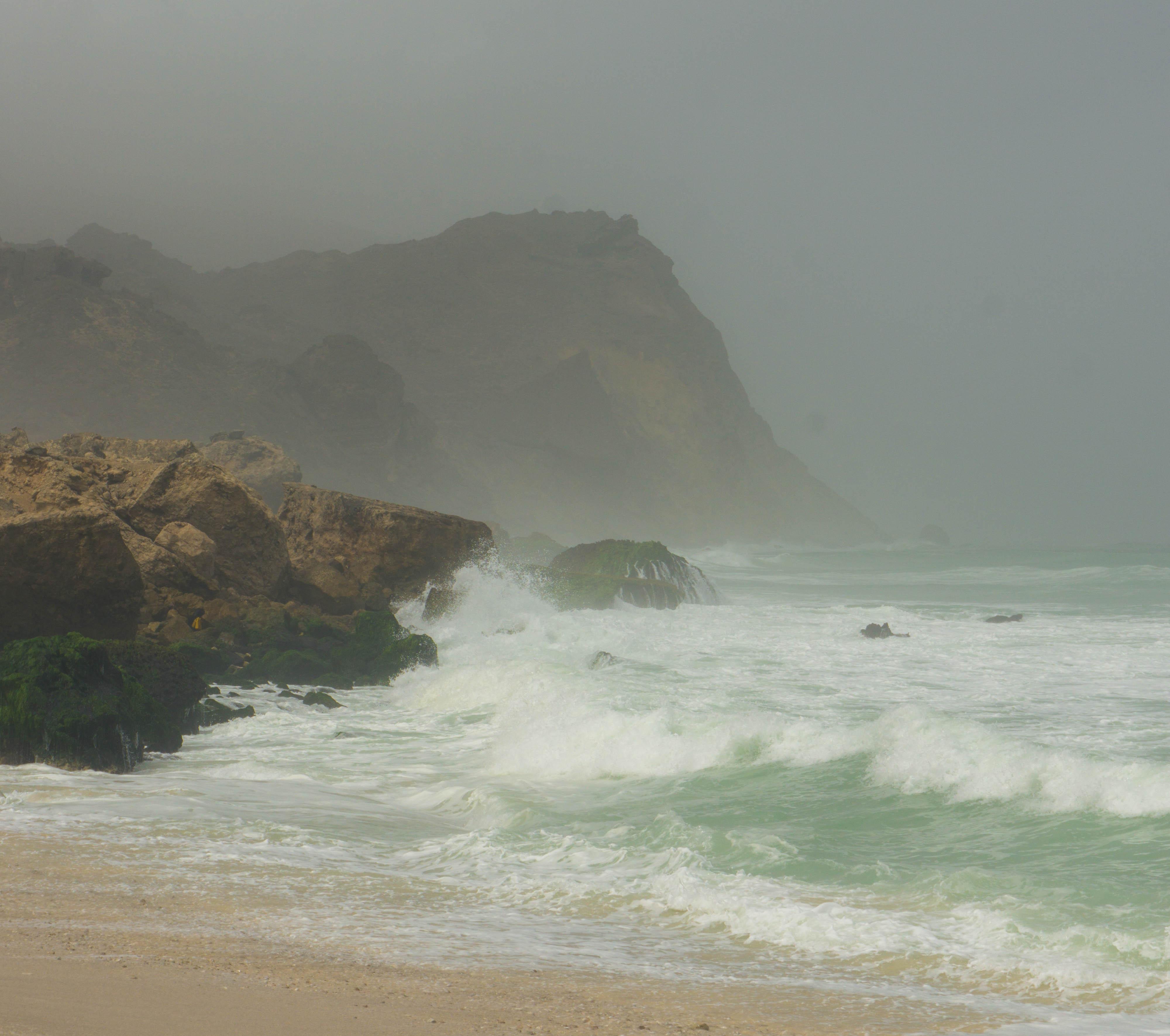Salalah: Private Fazayah Beach Full-Day Tour — guided tour in Salalah