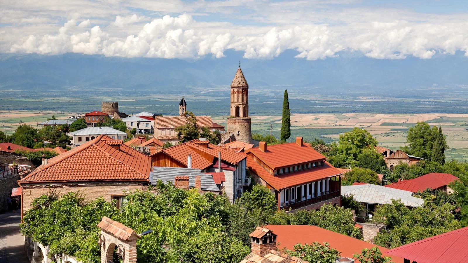From Tbilisi: Kakheti Day Trip with Wine and Chacha Tasting 2