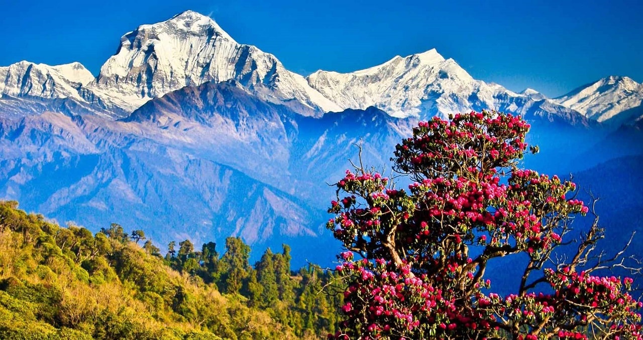 Pokhara: 4-Day Ghorepani, Poon Hill & Ghandruk Mountain Trek 3