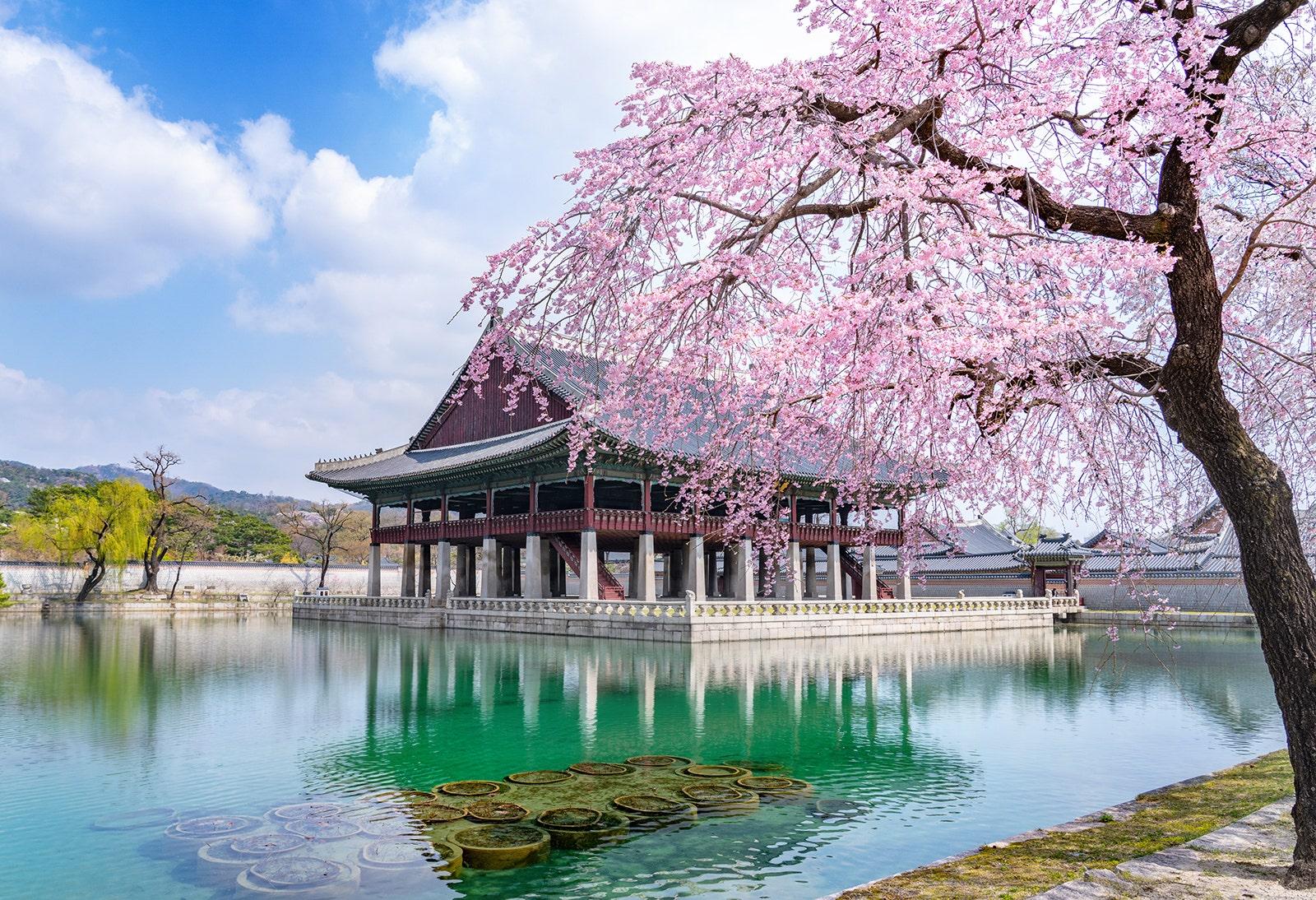 Gyeongbokgung Love, Power & Royal Life Walking Tour