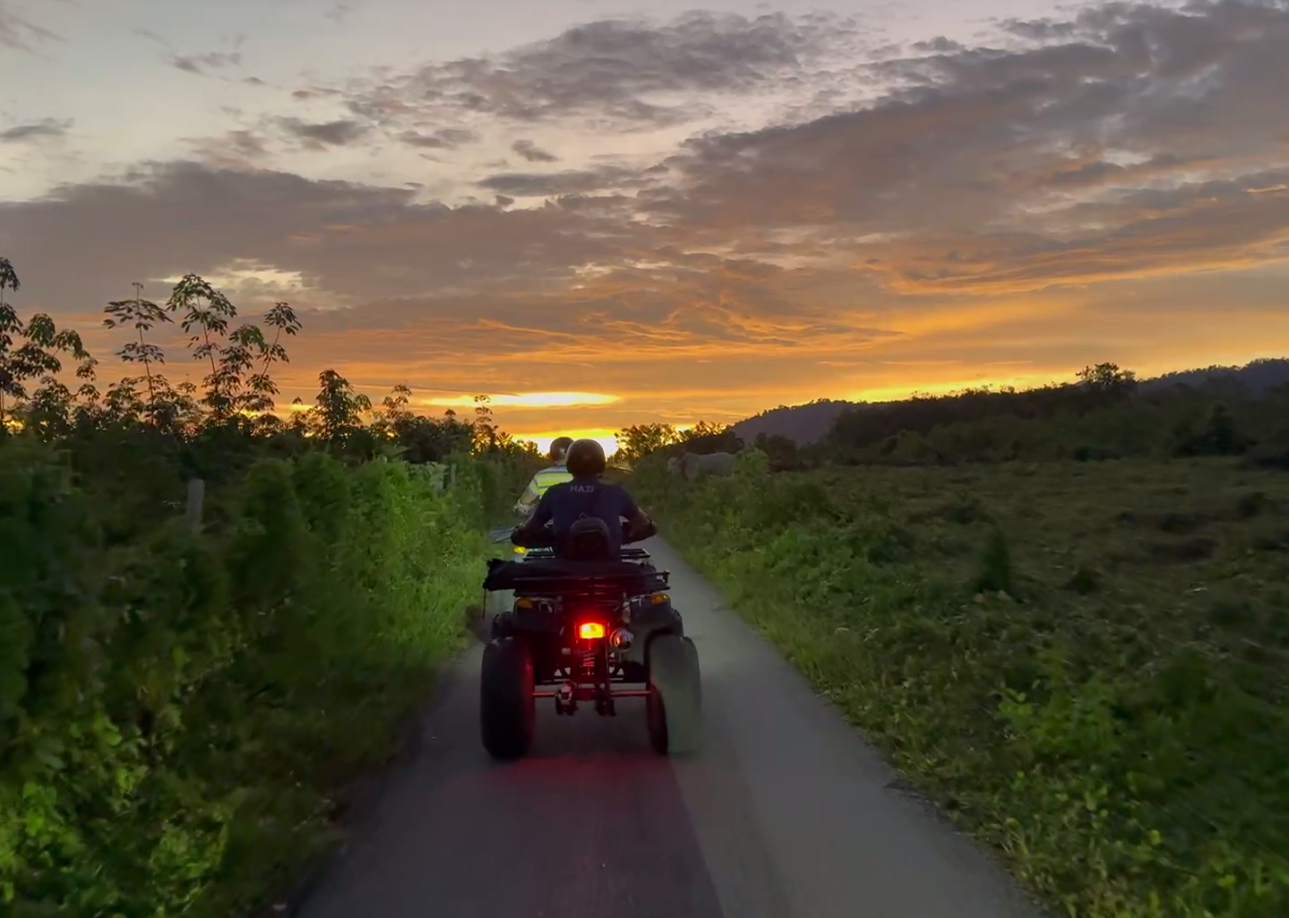 Langkawi Jungle and Waterfall Adventure (Golden Hour)
