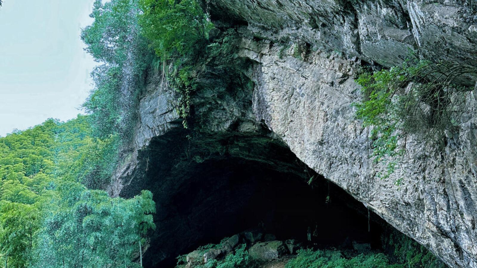 Shanghai: Anji Zhangli Trail & Waterfalls Day Trip 3