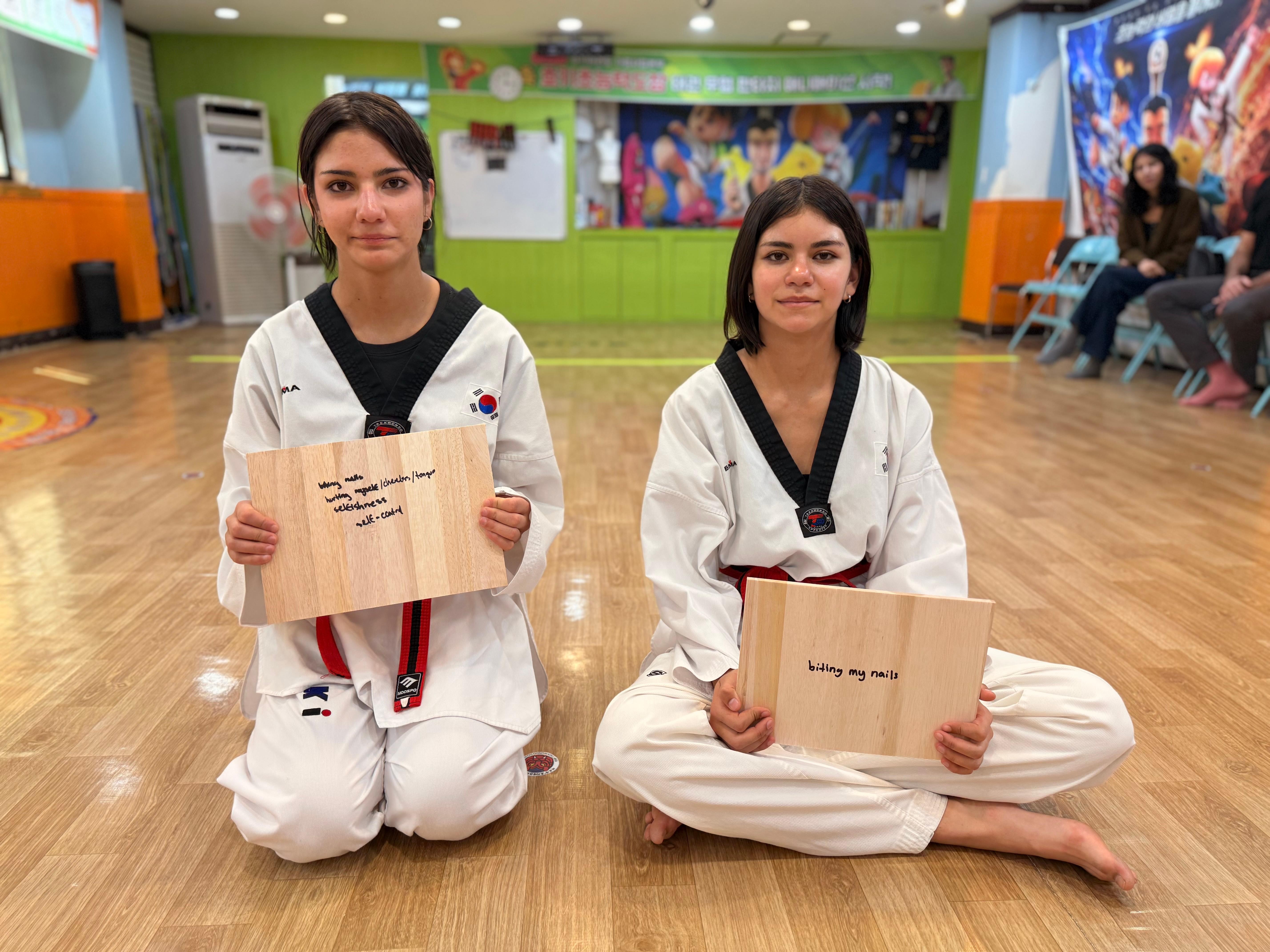 Seoul: Private Taekwondo Lesson for Trainees 3