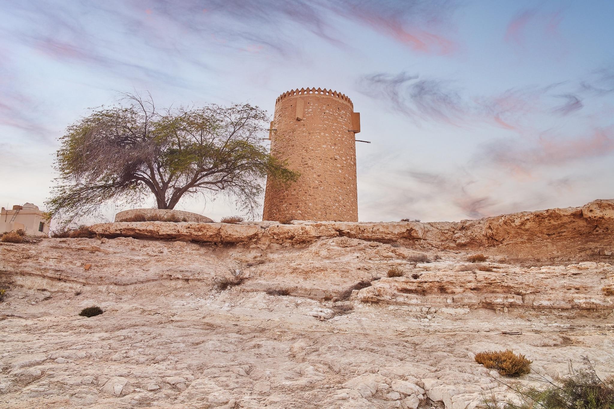 Doha: Private North of Qatar Tour, Zubara Fort & Mangroves