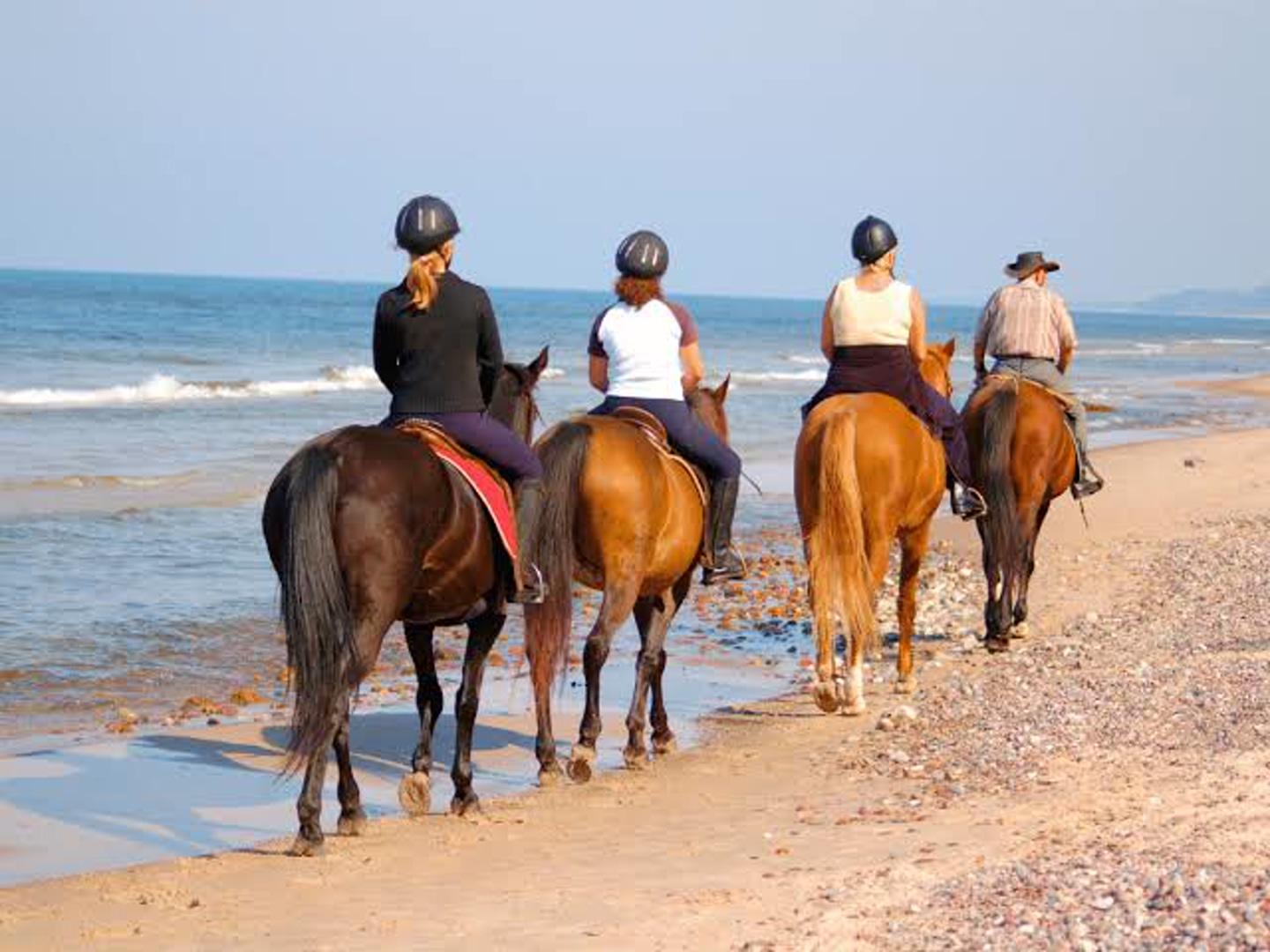 Bahrain Fantastic Tour with Sunset Horse Riding 3