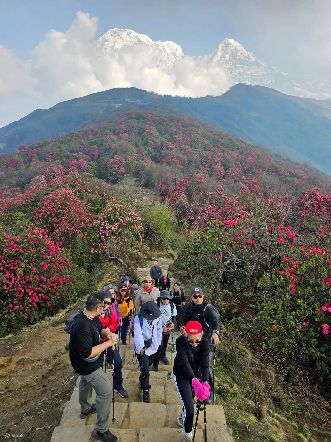 Pokhara: 3-Day Private Village-to-Village Annapurna Trek 2