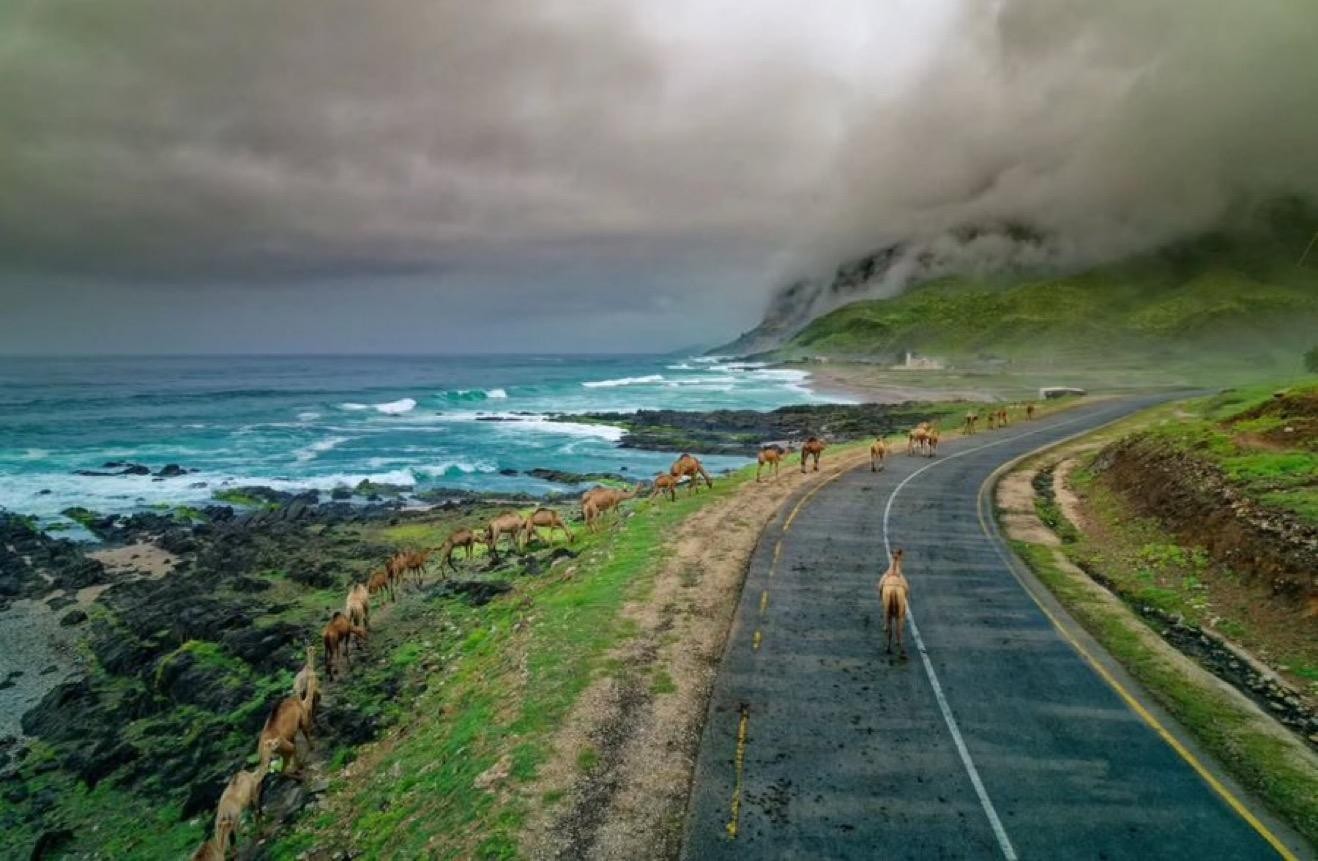 Salalah: Wadi Darbat, Jabal Samhan & Mirbat Day Tour