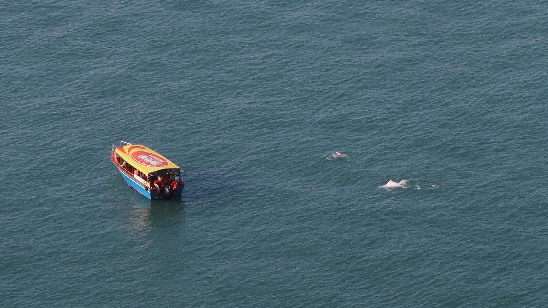 Hong Kong: Lantau Private Tour Cable Car & Fishing Village 2