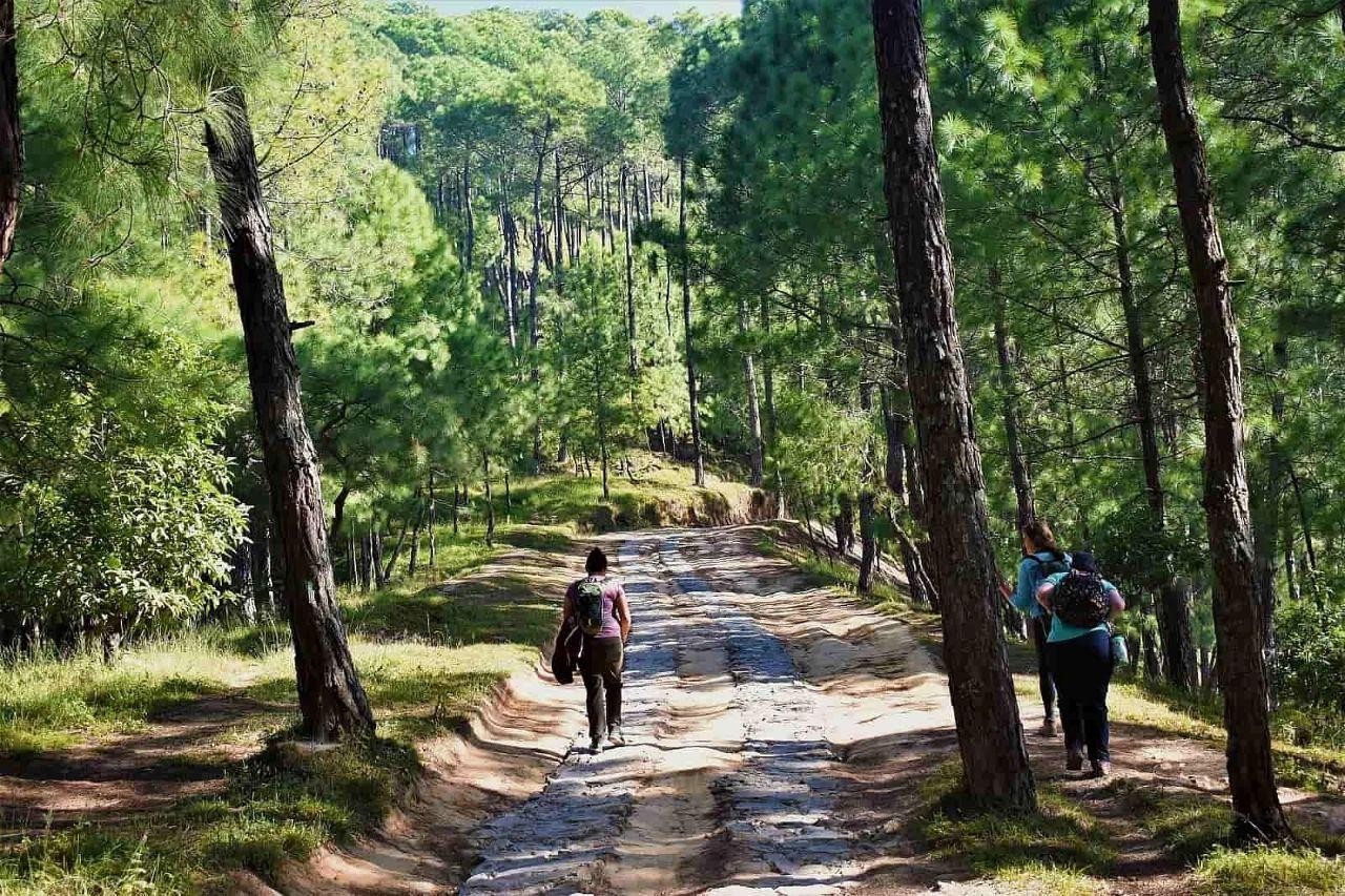 Kathmandu: Champadevi Hill Guided Hike with Pickup 2