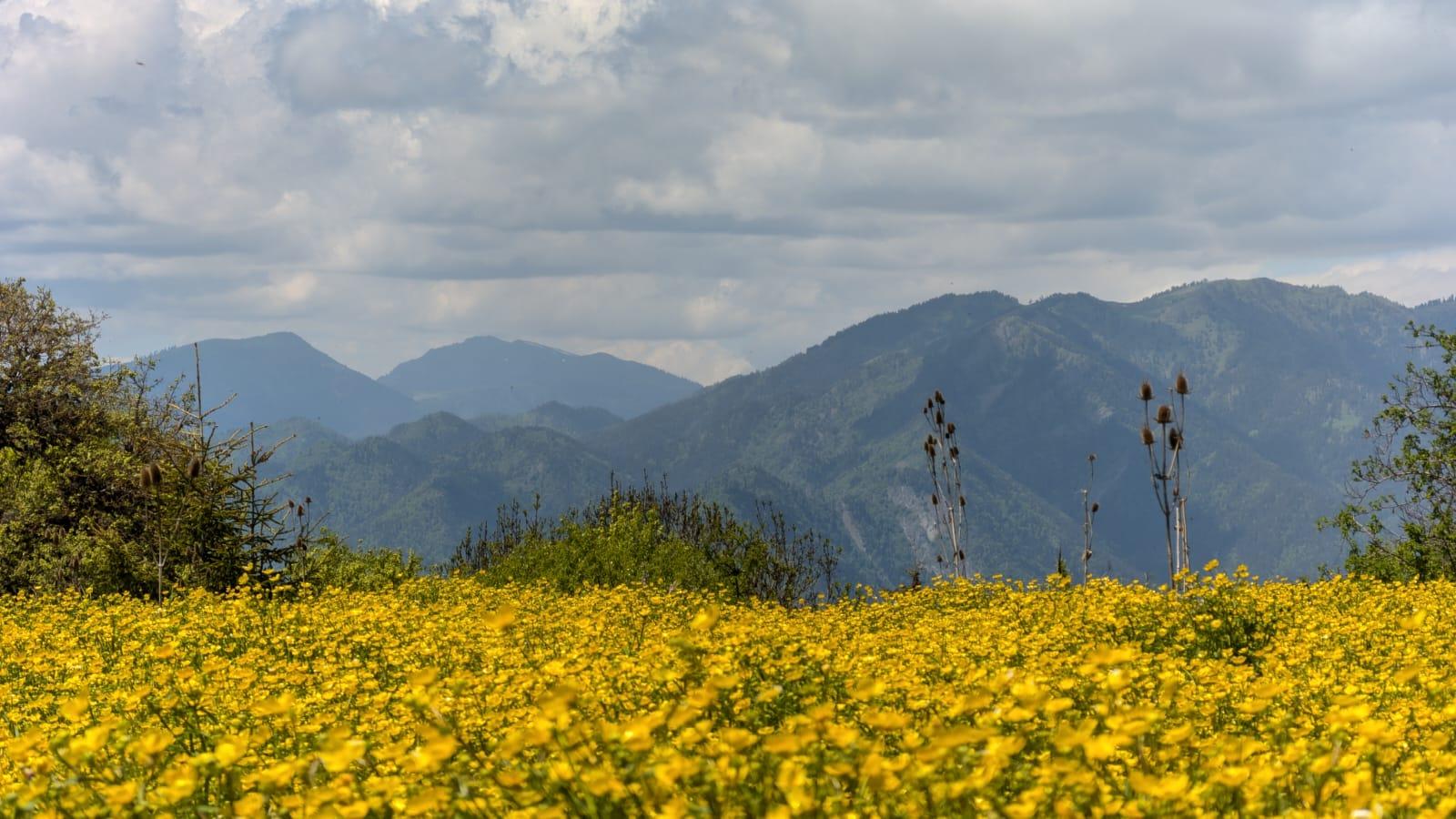 Borjomi: Private Horseback Riding Tour to Kakhisi Lake 2