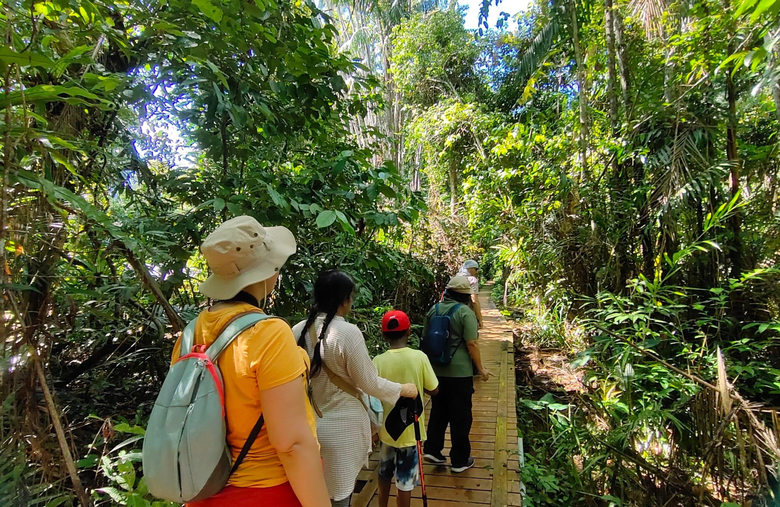 Kuching: Bako Wildlife & Permai Rainforest 2-Day Tour 3