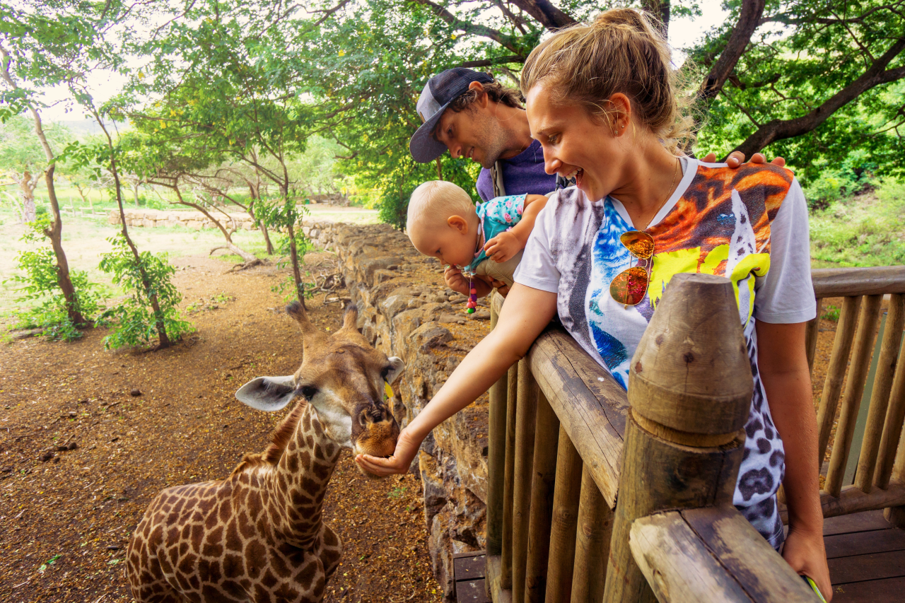 Mumbai to Golden Triangle & Tiger Safari – 7-Day India Tour