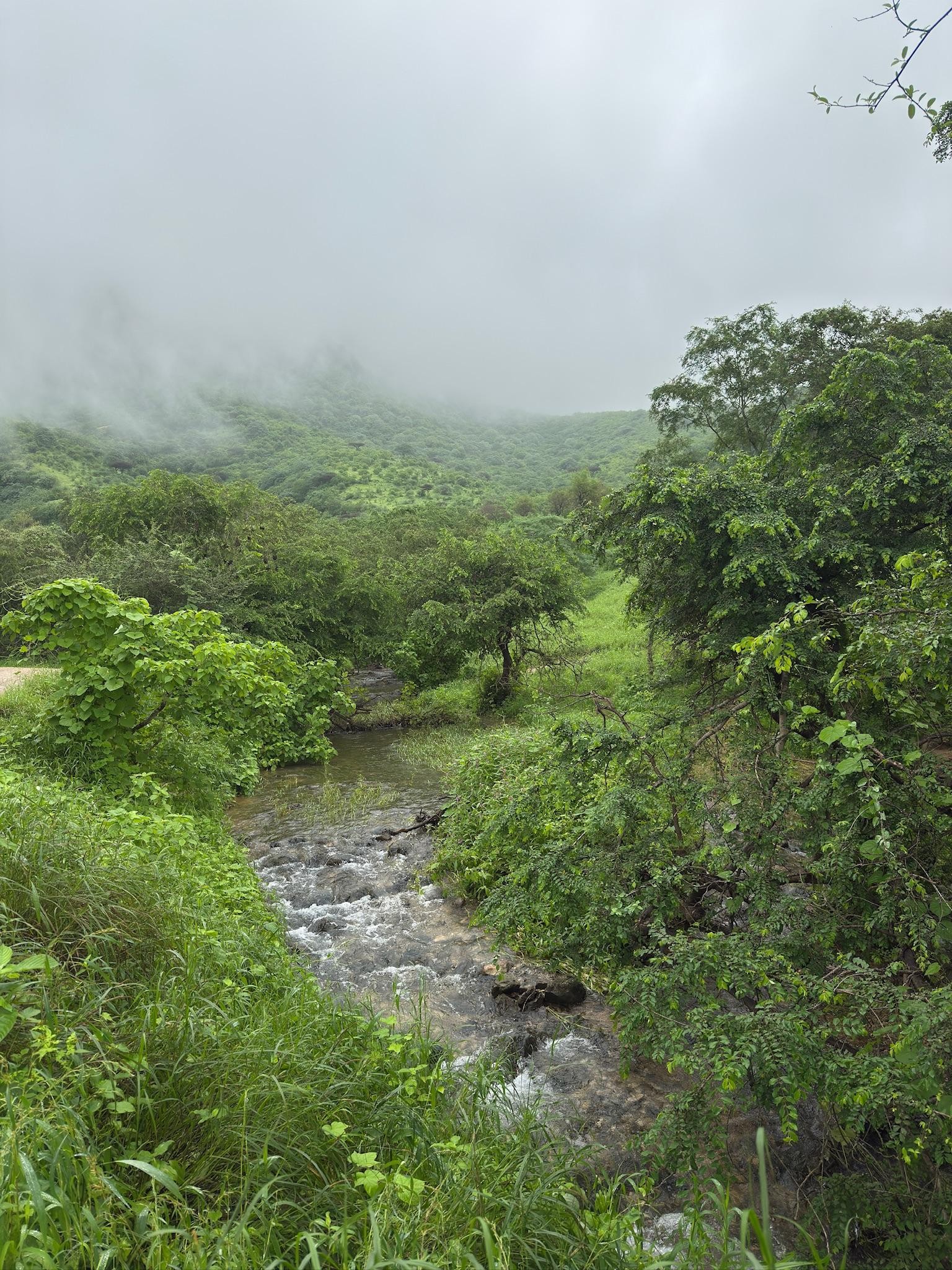 Salalah: Dhofar Mountains Waterfall Trek with Meal 2