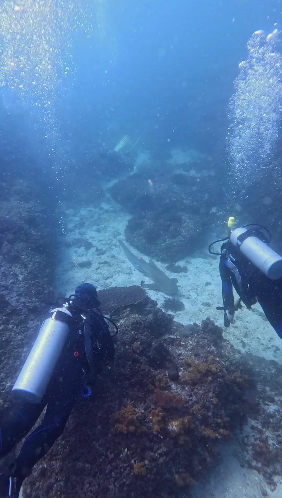 Scuba Diving in Muscat 3