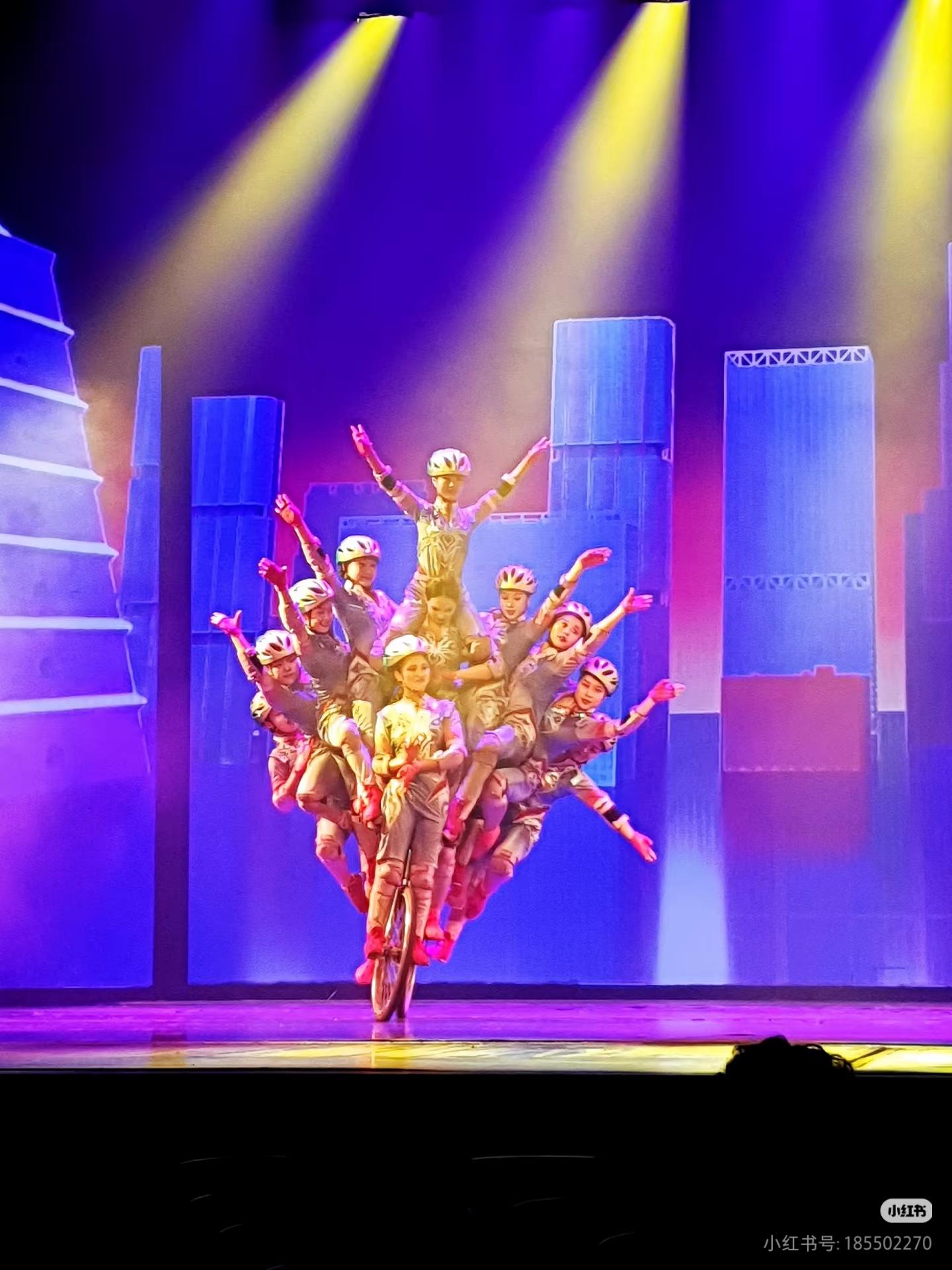Beijing Acrobatics Show with Peking Duck & Tea Experience