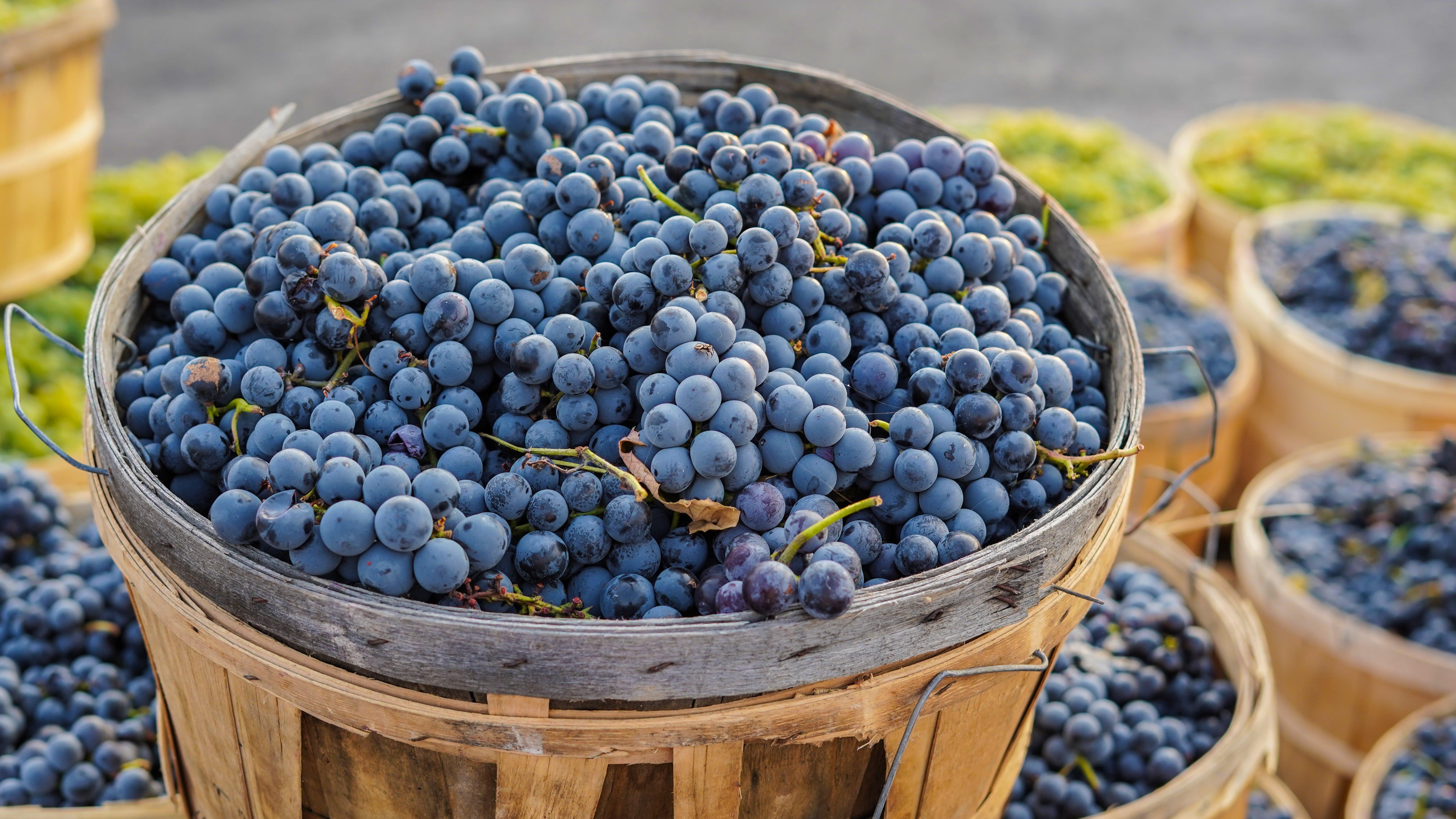 Armenia: Wine Tour 2