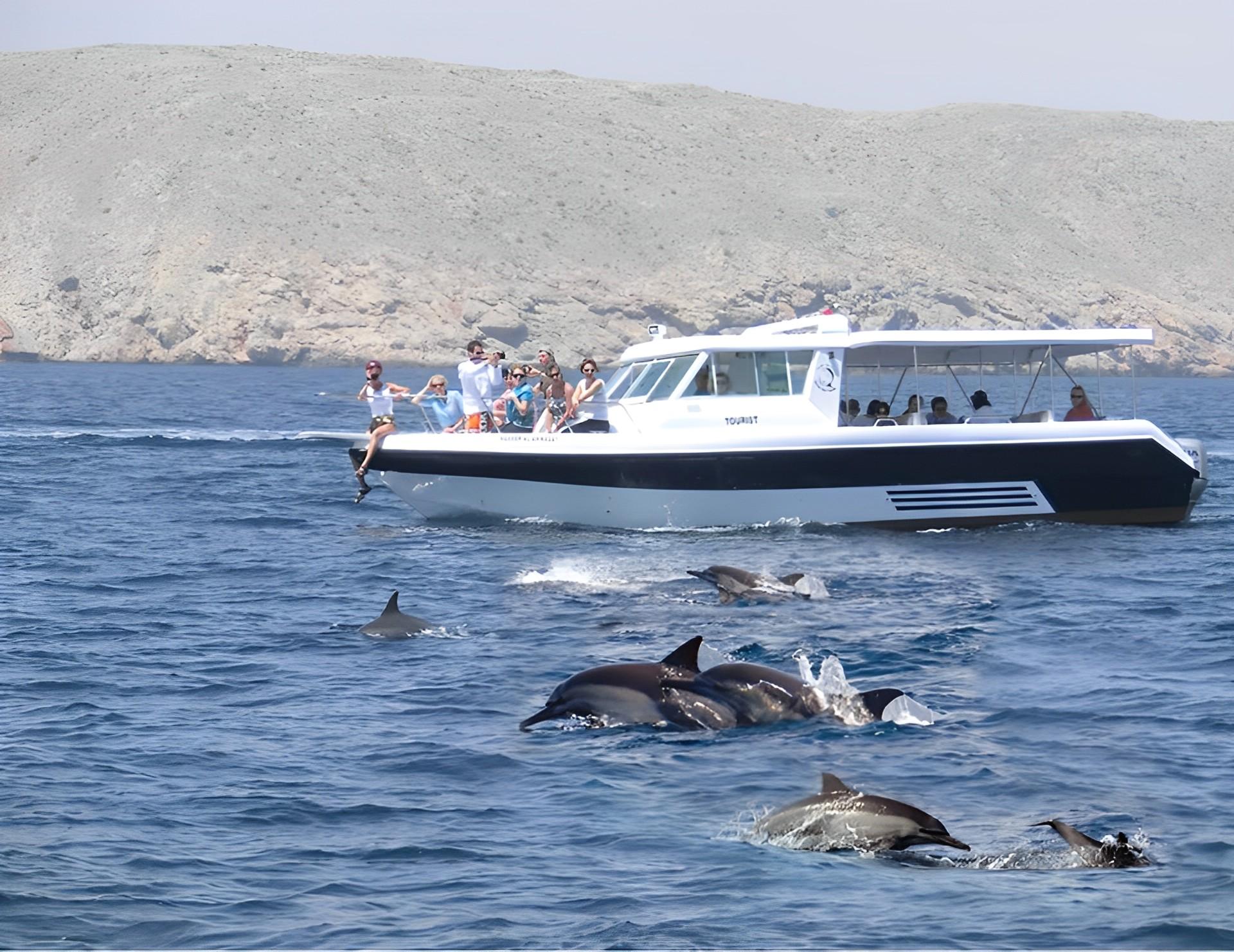 Muscat: Dolphin Watching Boat Trip in Their Natural Habitat