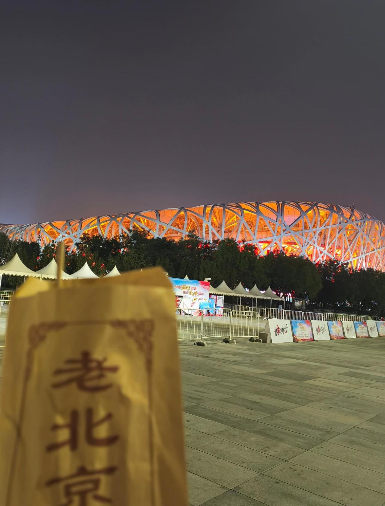 BeiJing：Private Forbidden City, Bird's Nest, Tea, Eng Driver 3