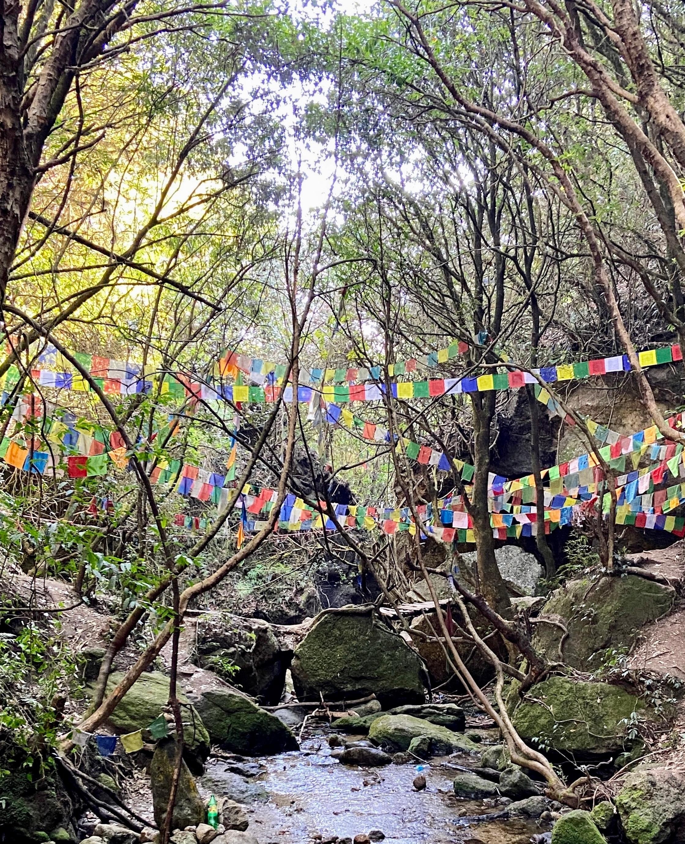 Kathmandu: Shivapuri National Park Day Hike with Lunch 3