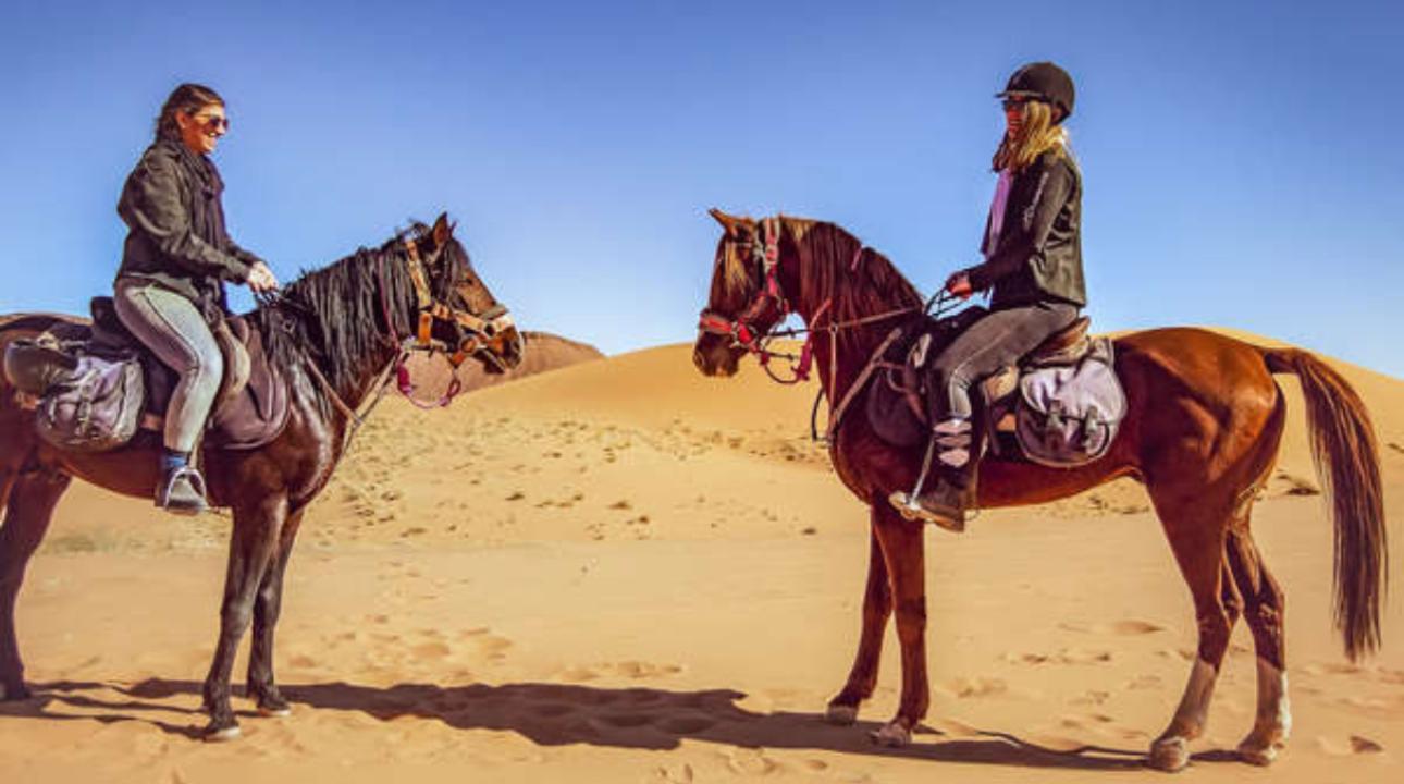 Doha: Desert Horseback Riding Experience 3