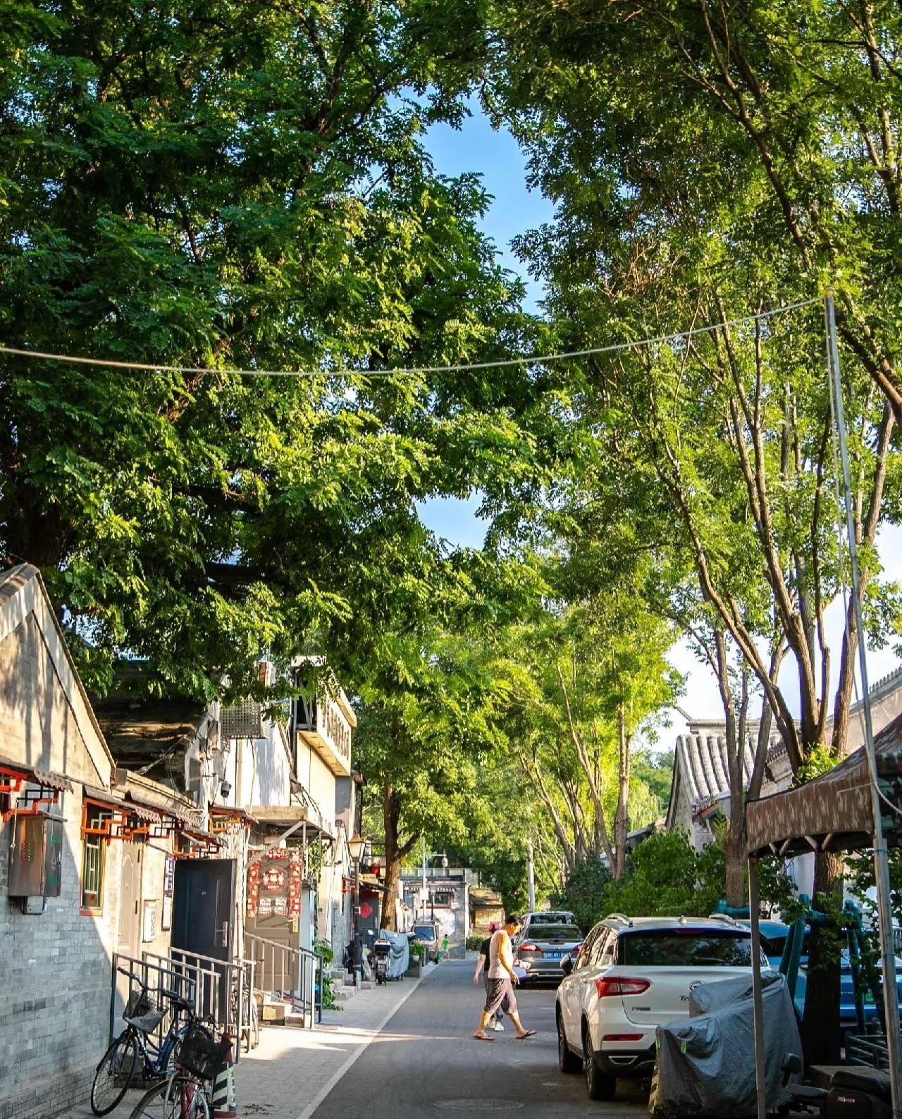 Unveil Beijing: Hutong, History, and Crafts at 798 Art Zone 2