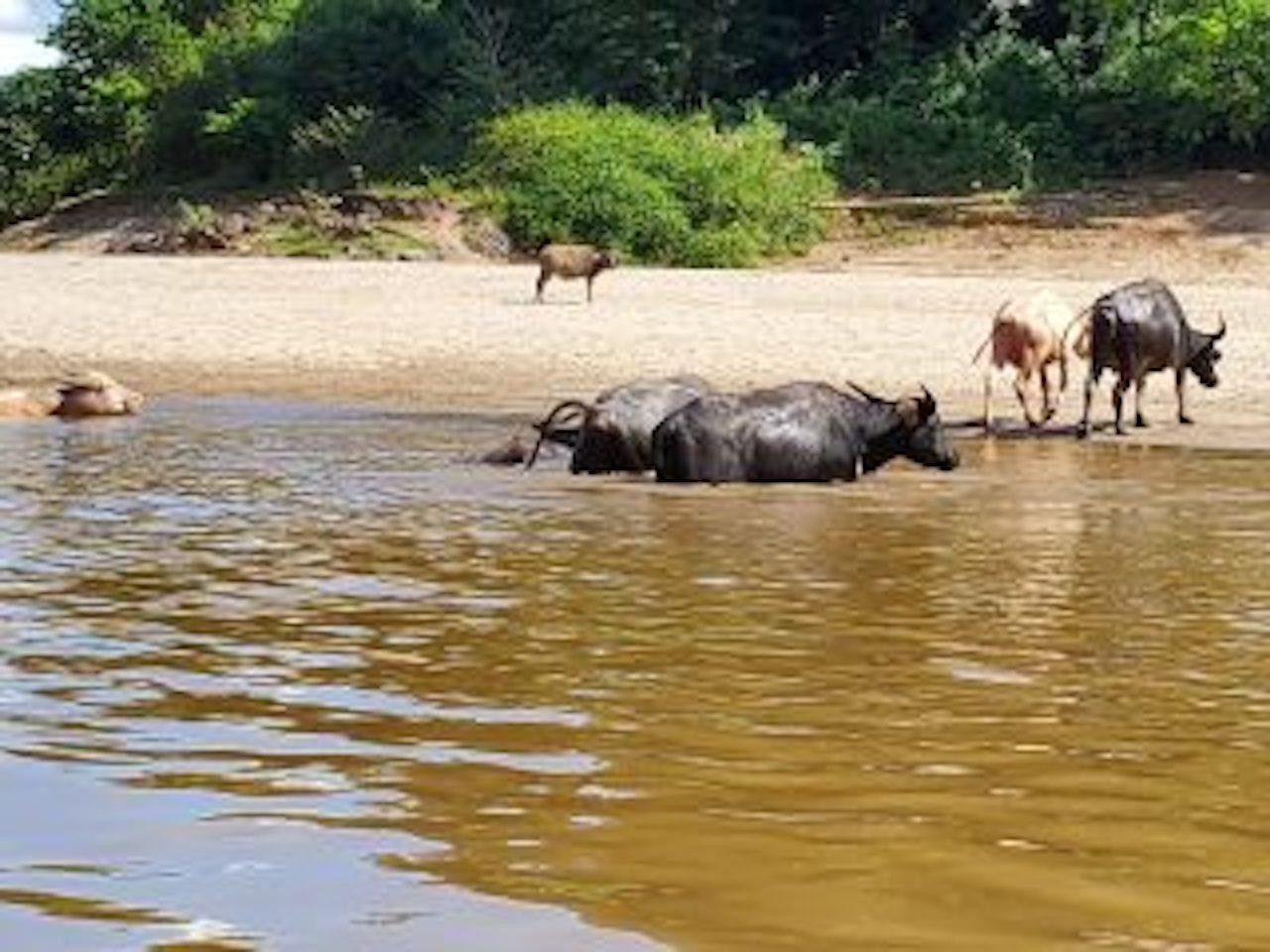 Luang Prabang: 3 Days Ethnic Forest Living - Mekong 2