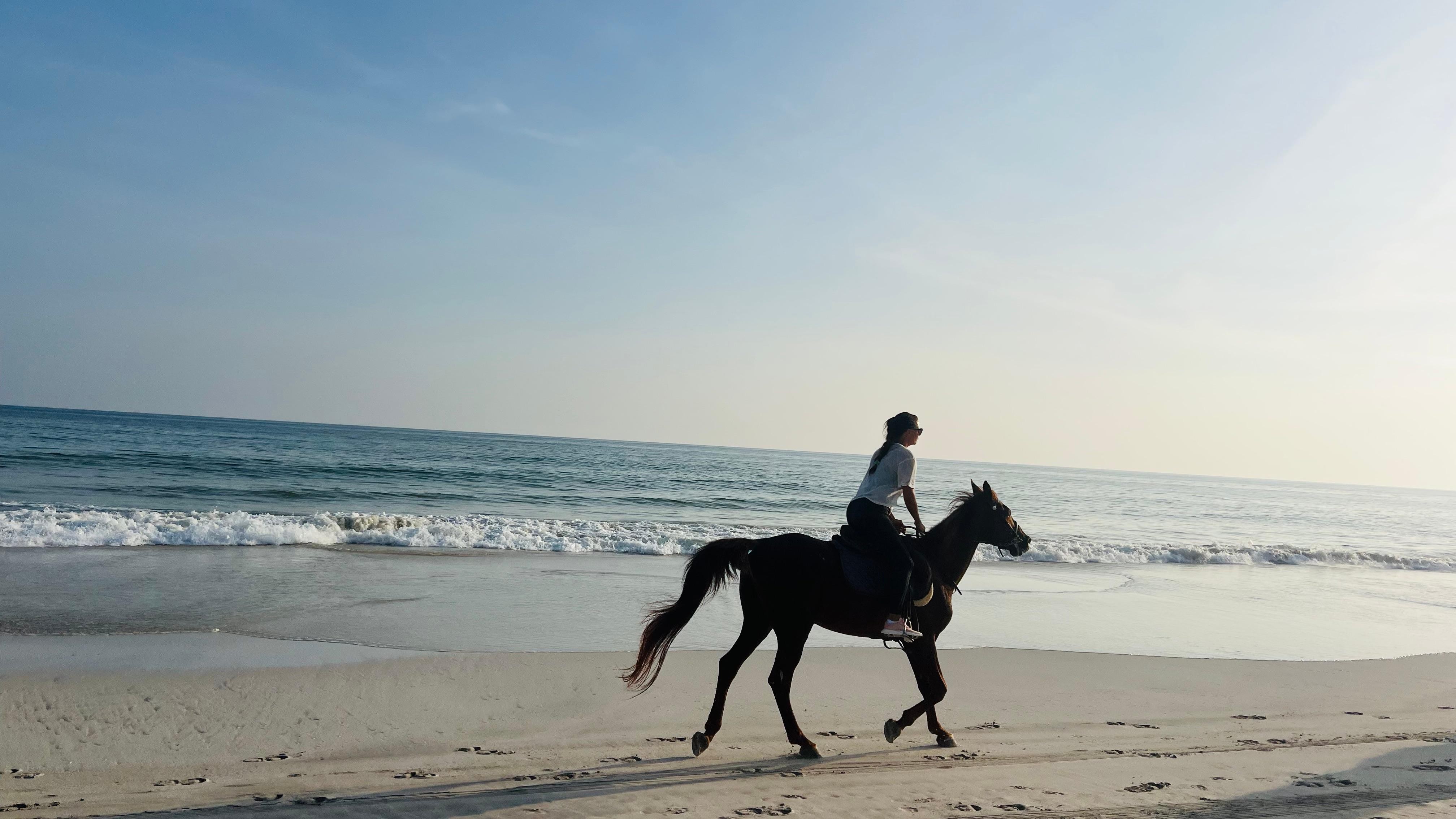 Salalah: Horse Riding by the Beach 3