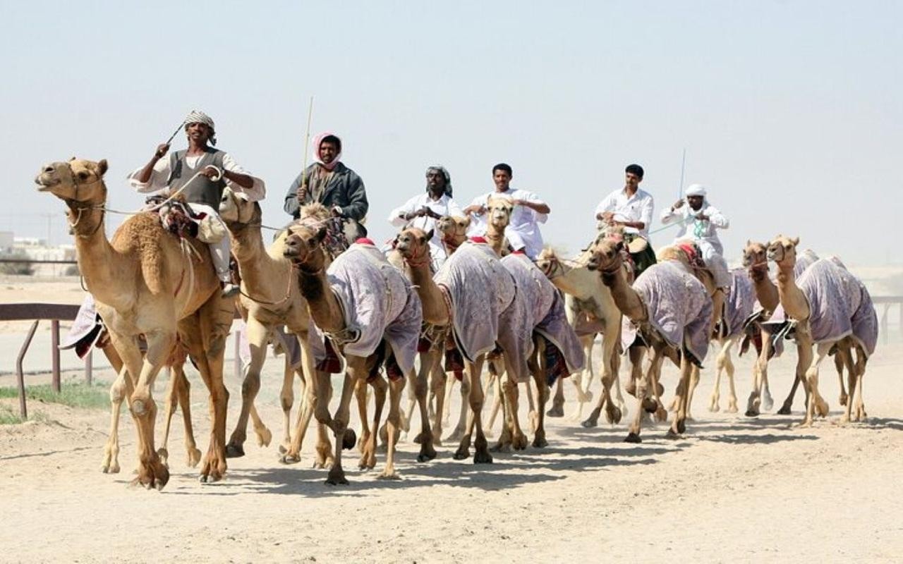 Qatar: Full-Day Grand Tour of Art, History & Nature