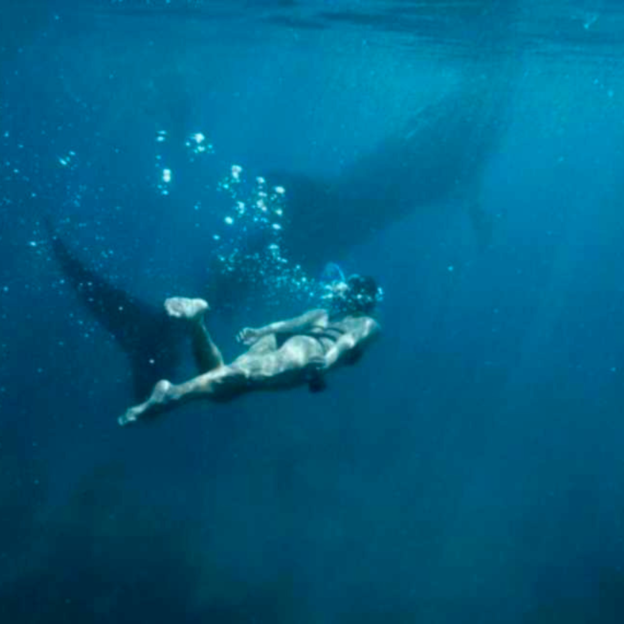 Cebu: Oslob Whale Shark, Sumilon, Ruins, Simala Church 3