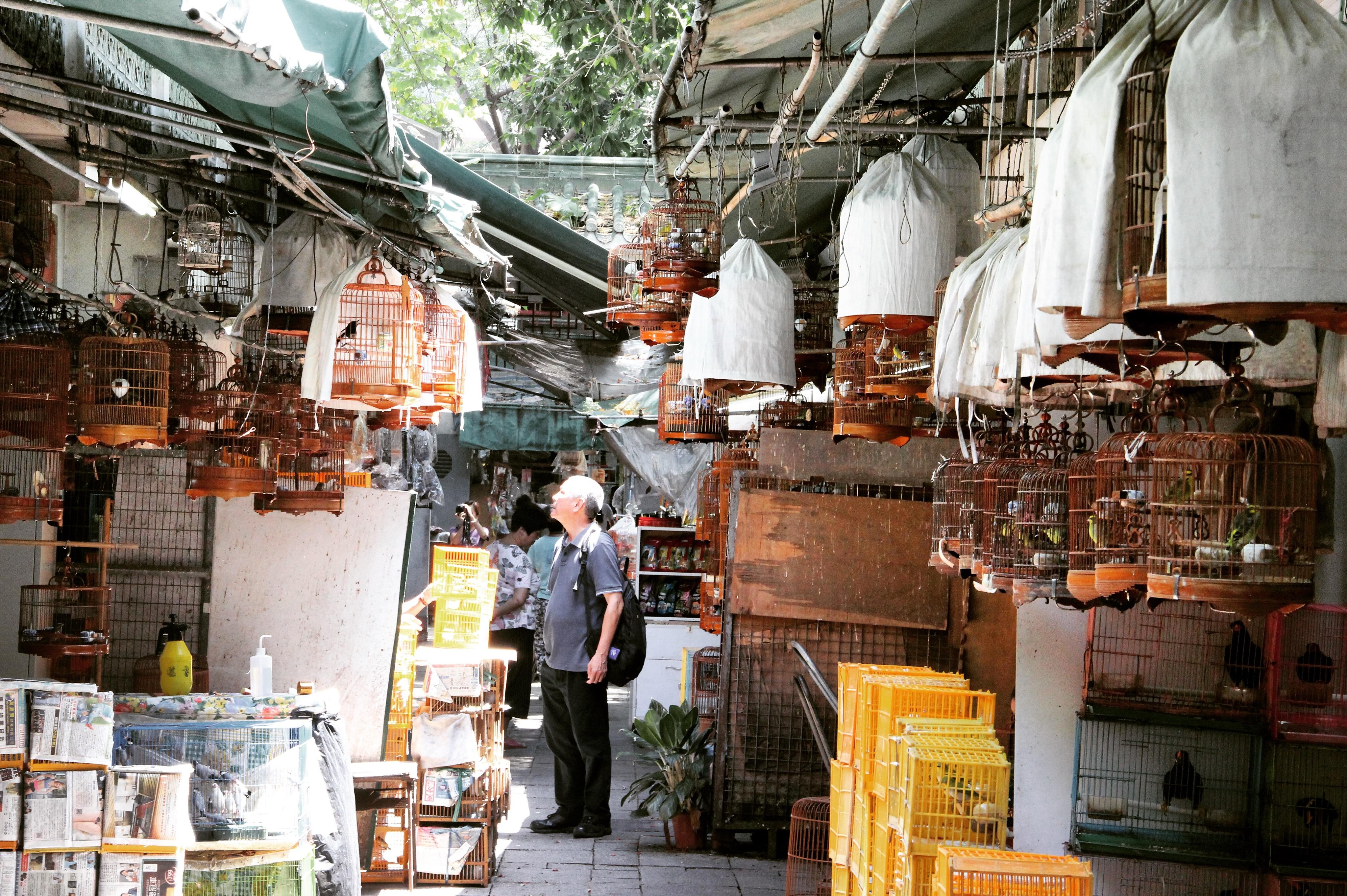 Private: Hong Kong Local Market Hopper 3