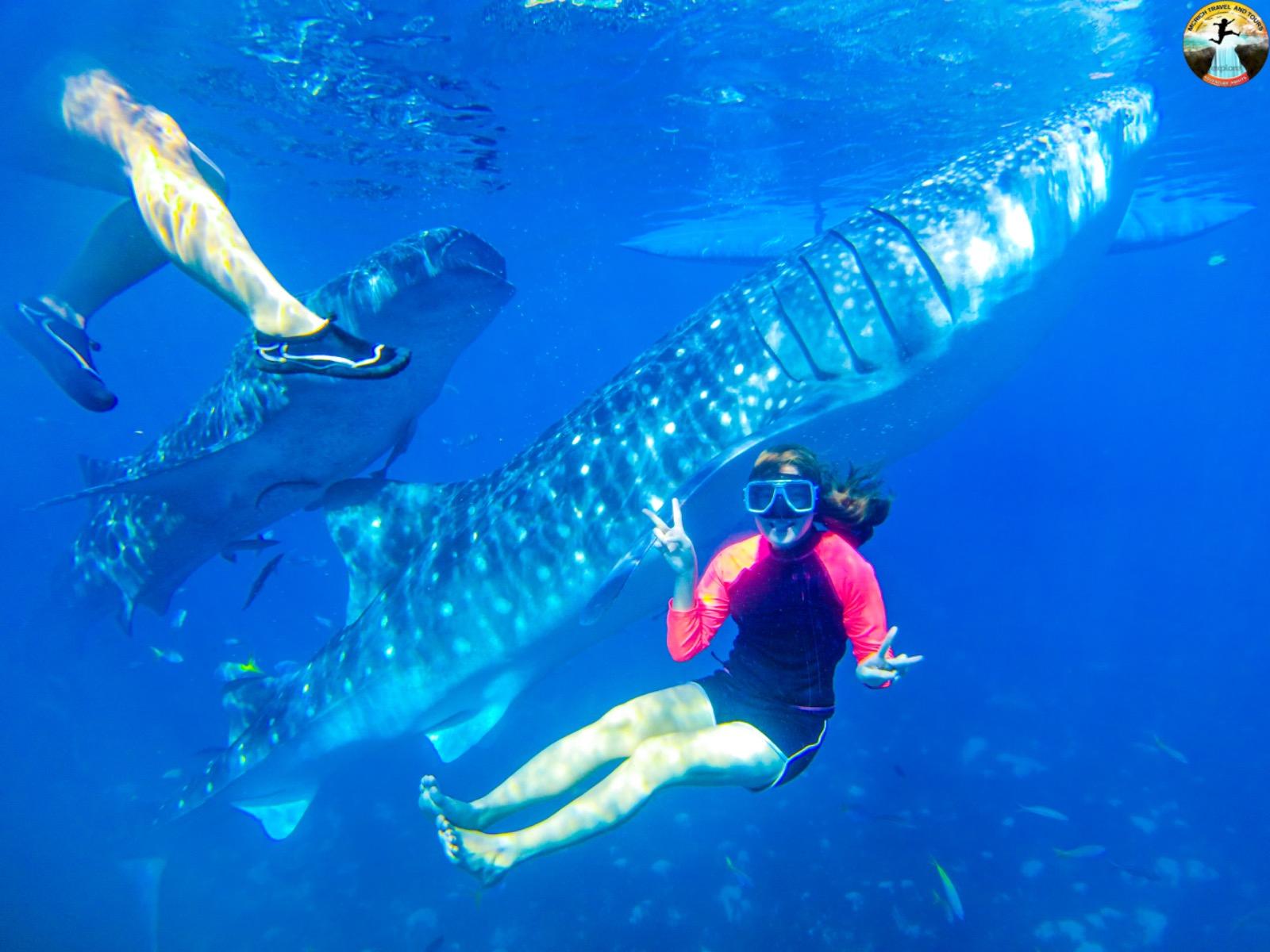 Cebu: 2-Day Island-Hopping, Canyoneering, and Whale Shark 2