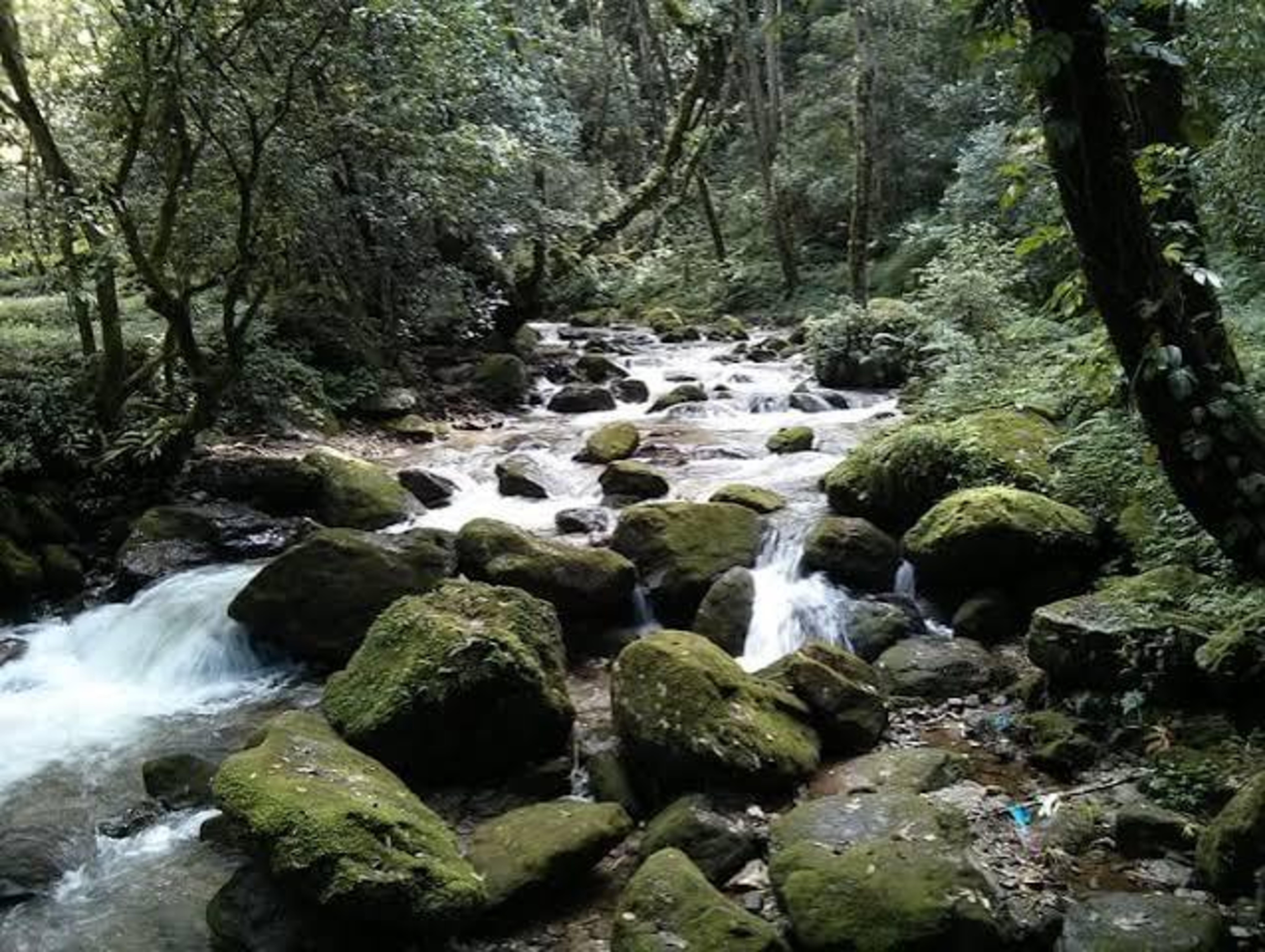 Kathmandu: 3-Day Chisapani–Nagarkot Trek & Bhaktapur Tour 3